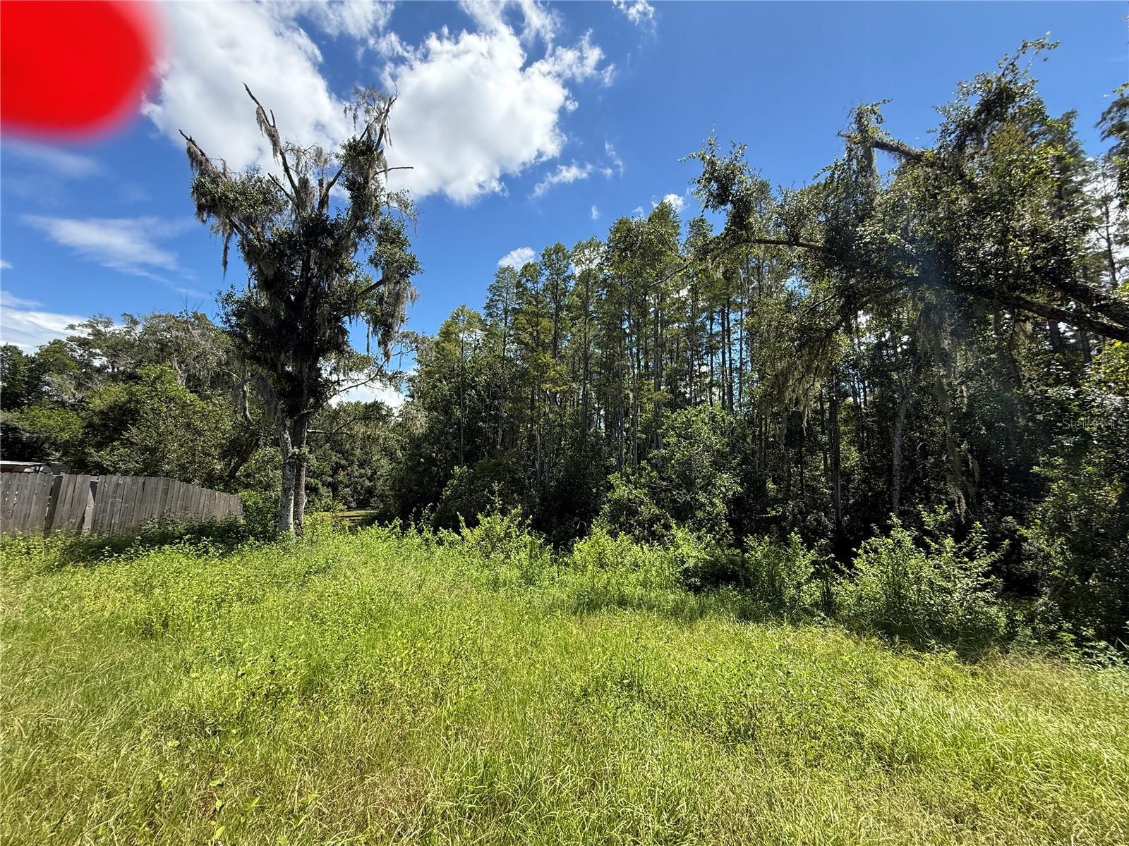 19036 Brewer Rd Property Photo 20