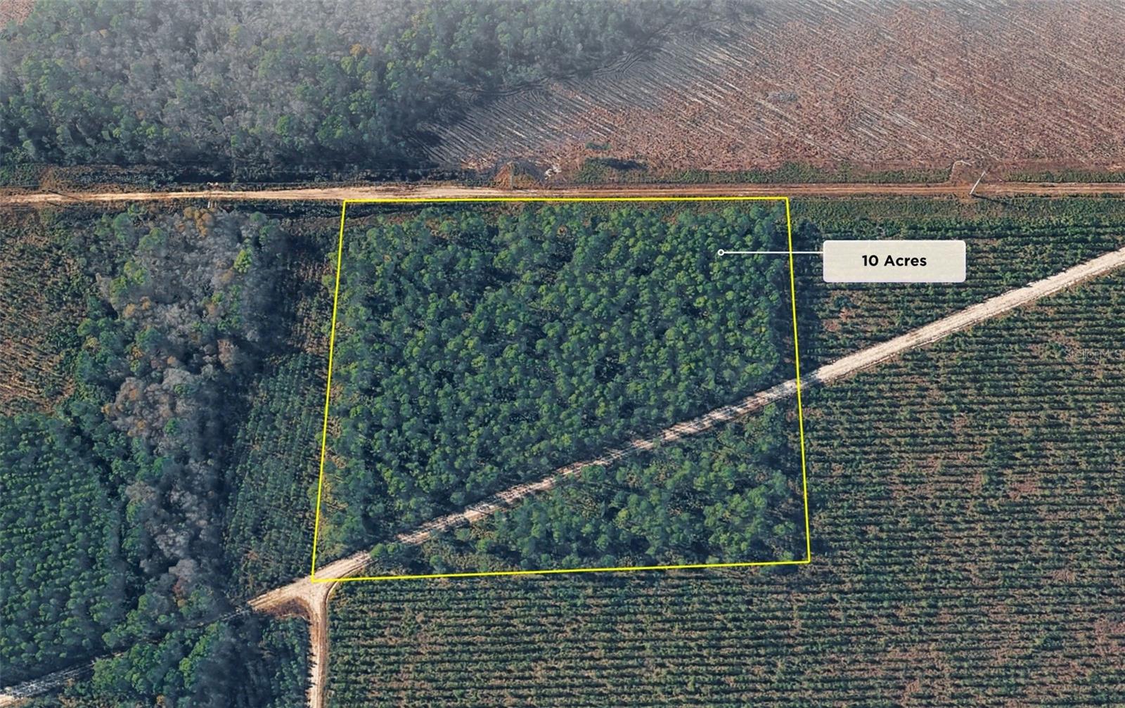 Highway 17s Property Photo 2