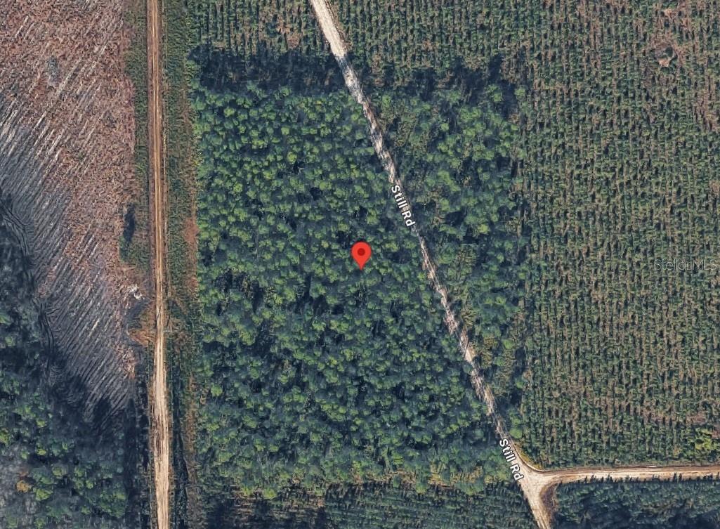 Highway 17s Property Photo 3