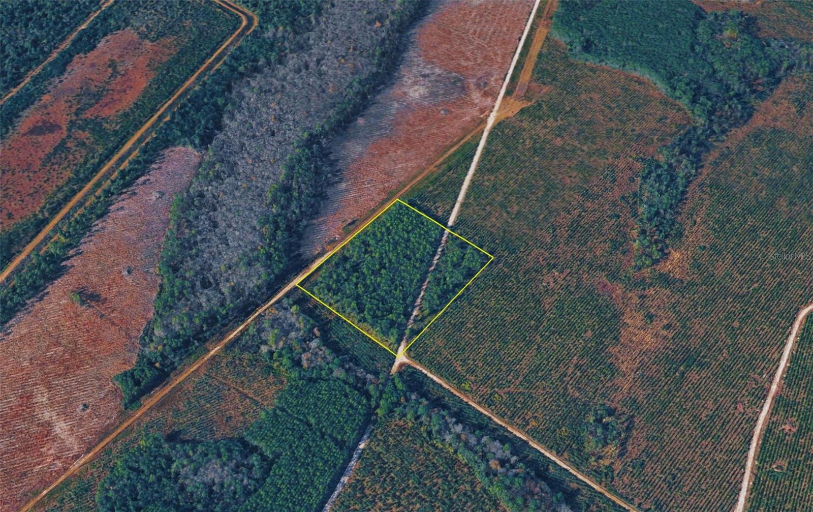 Highway 17s Property Photo 15