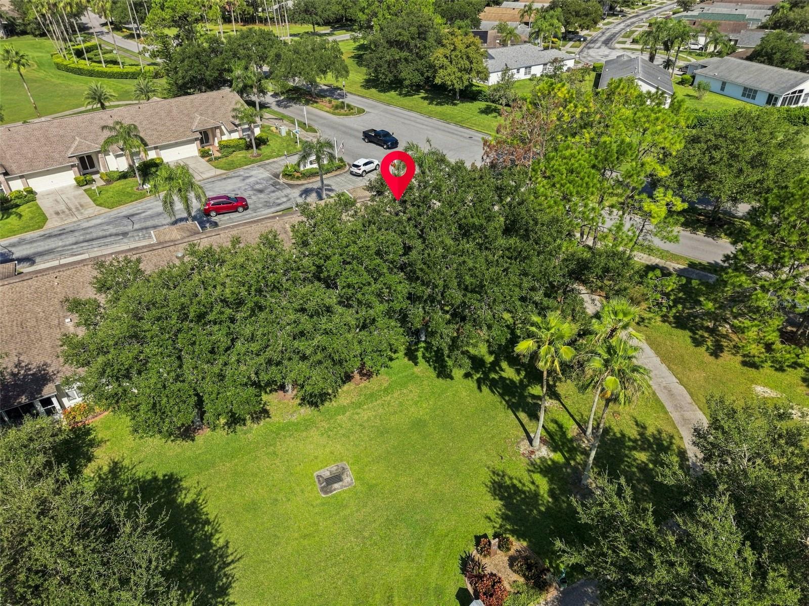 1236 Flora Vista St Property Photo 44