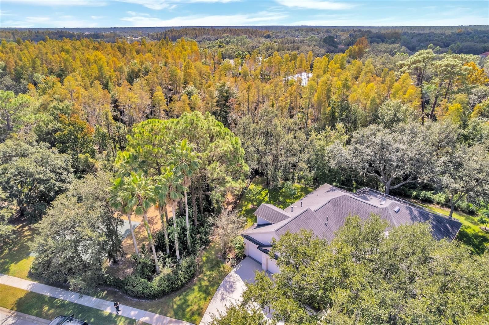 TB8540793 Property Photo 39