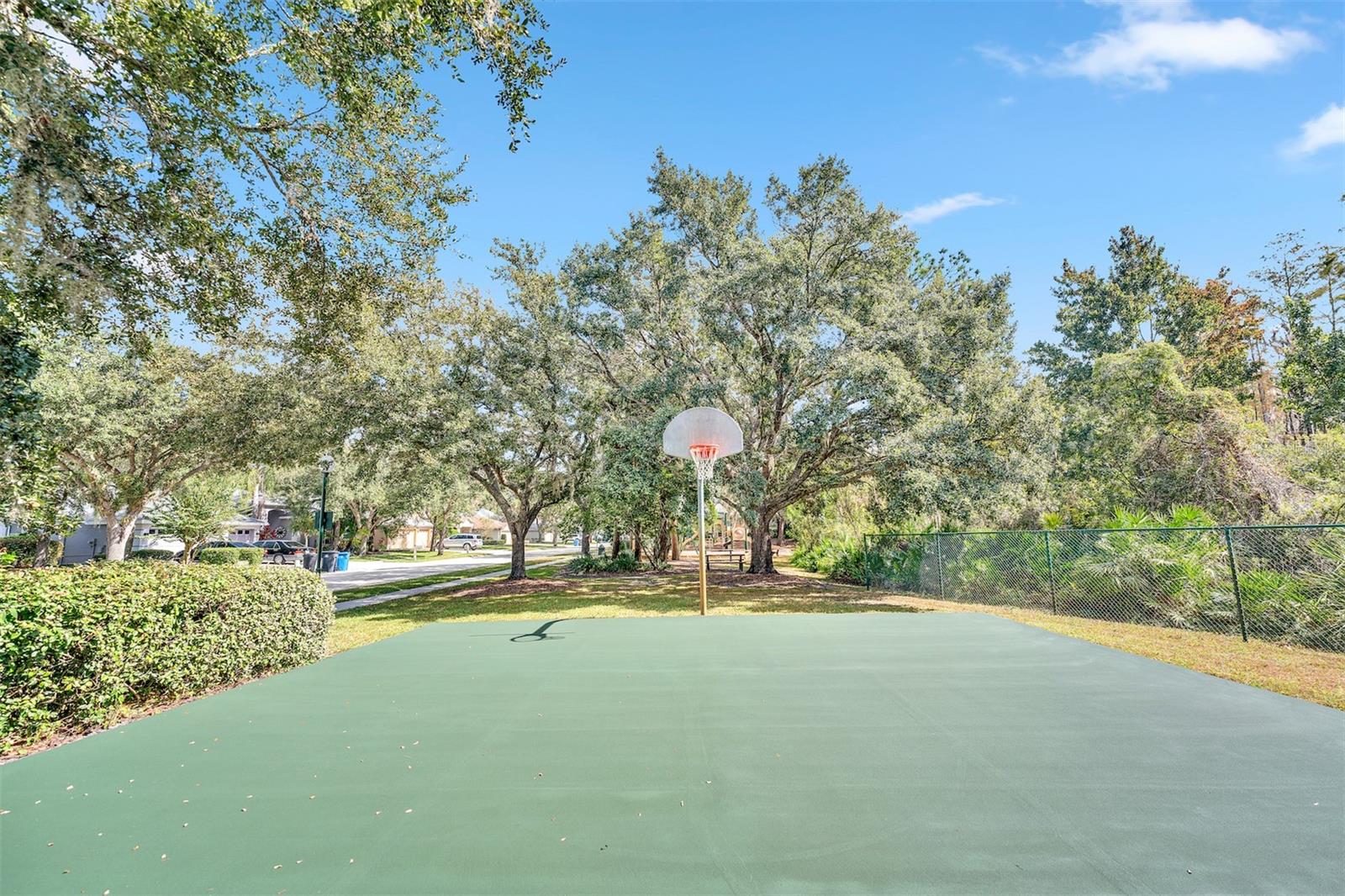 TB8540793 Property Photo 42