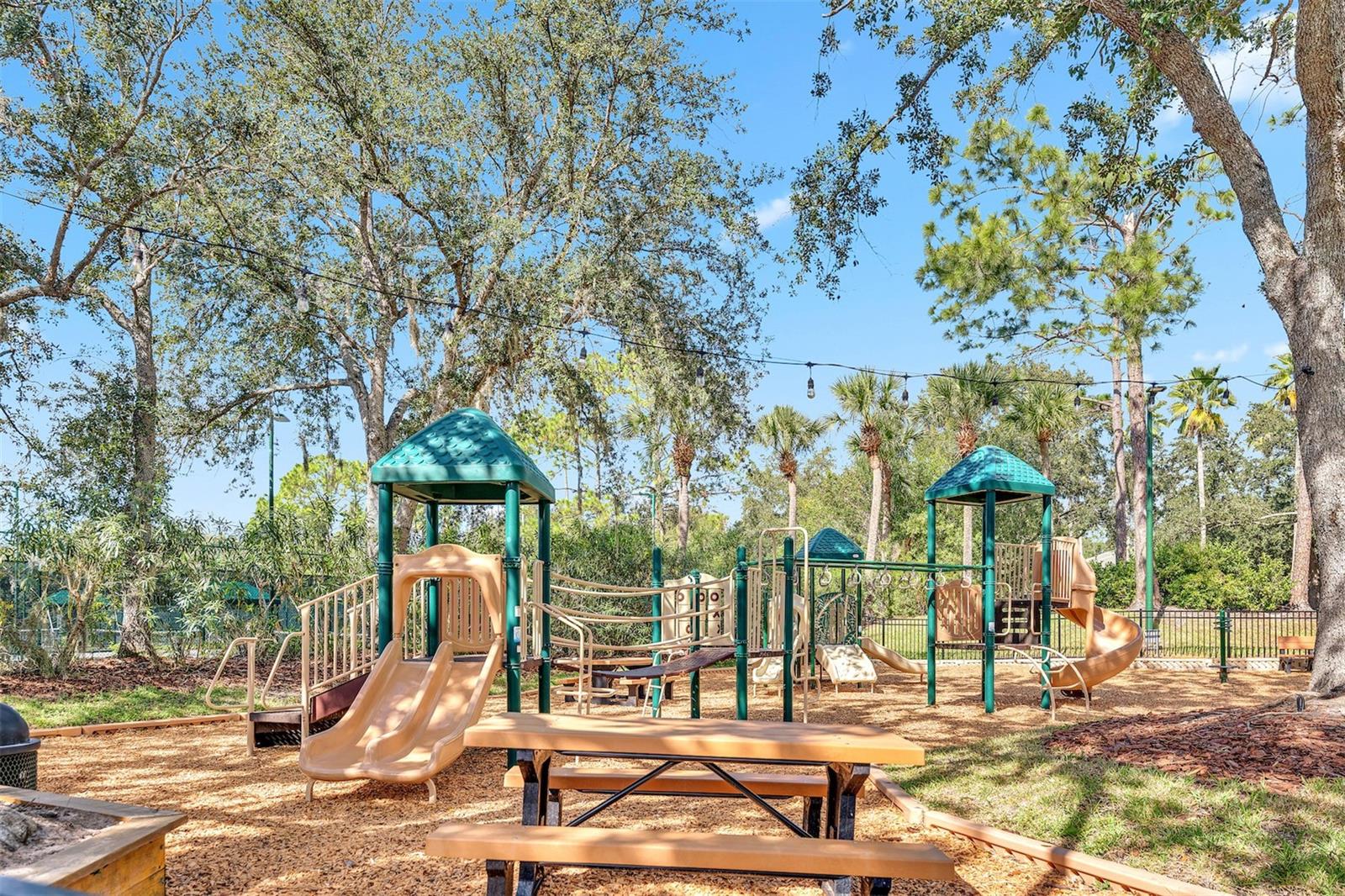 TB8540793 Property Photo 44