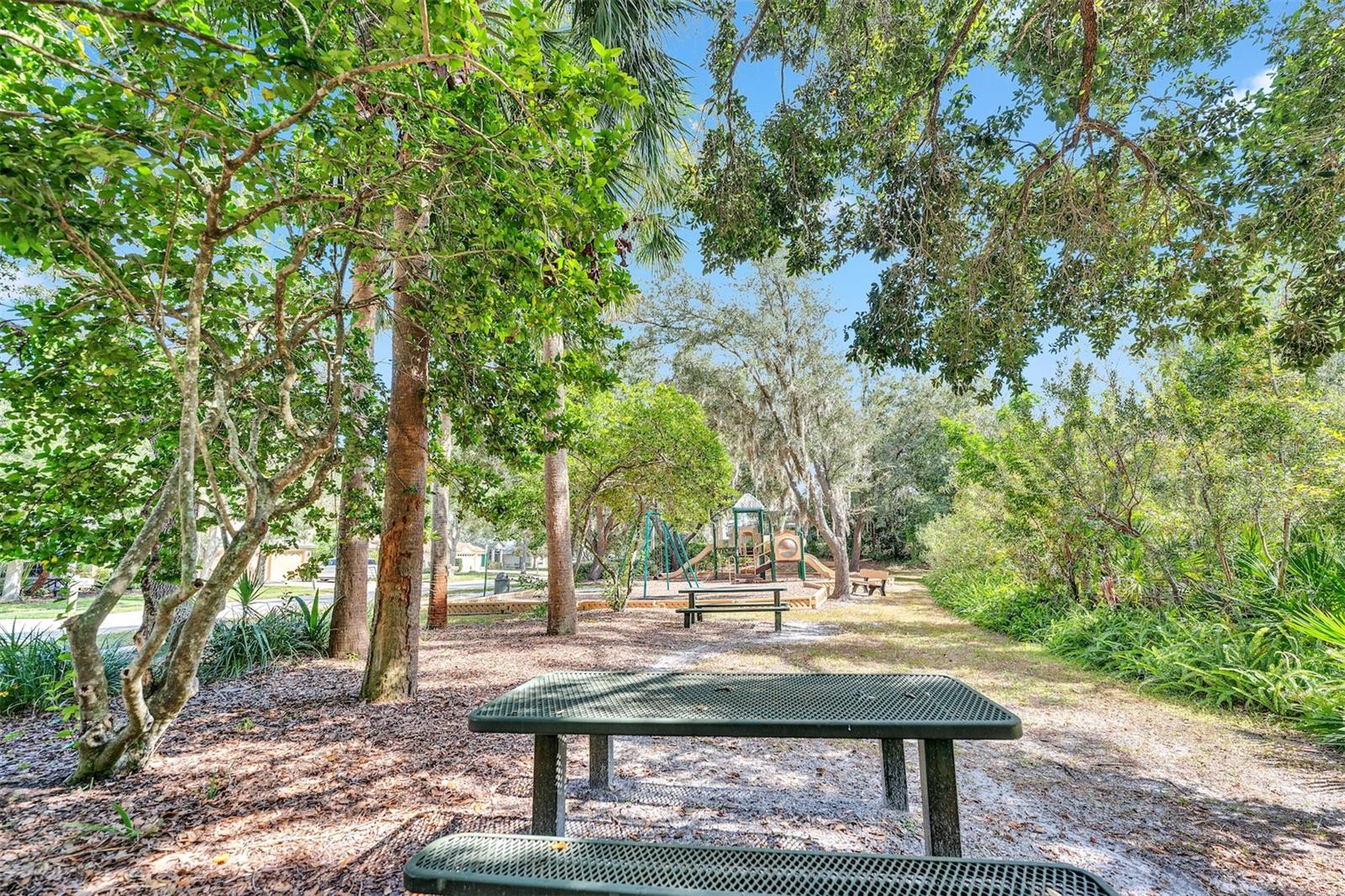TB8540793 Property Photo 45