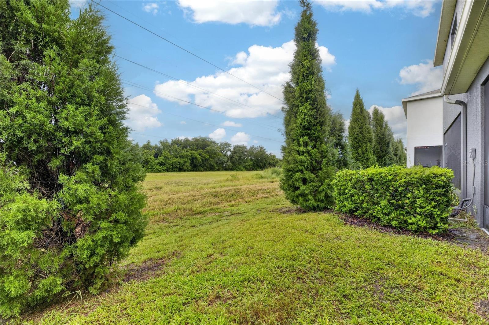 8669 Falling Blue Pl Property Photo 60