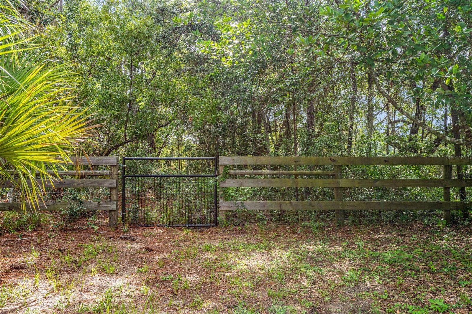 4631 N Rushmore Loop Property Photo 40
