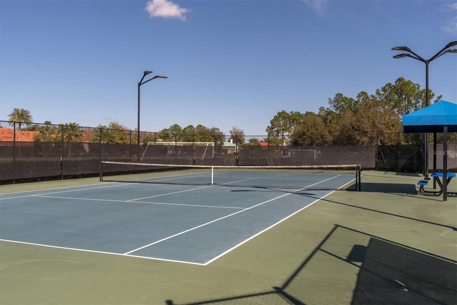 10436 Canary Isle Dr Property Photo 77