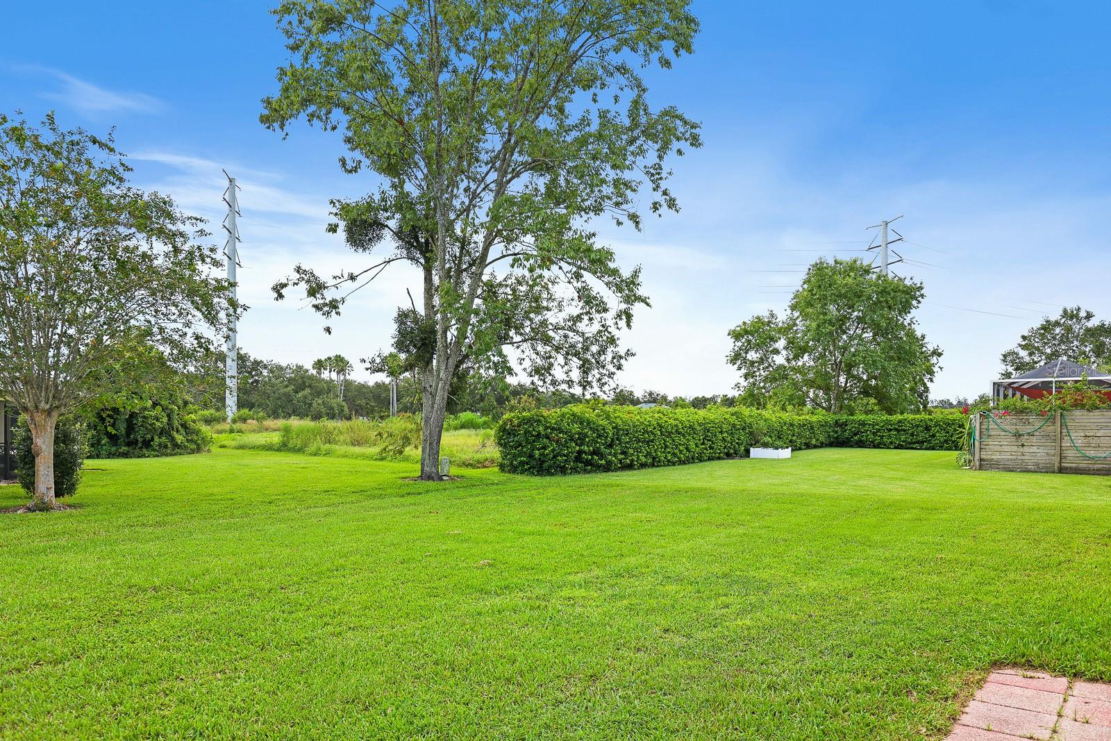 6346 Silver Oaks Dr Property Photo 25