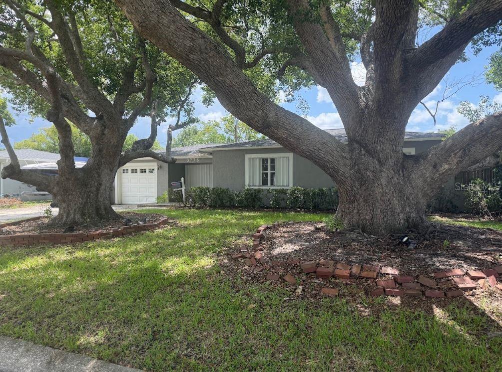 3776 23rd Ave N Property Photo 1
