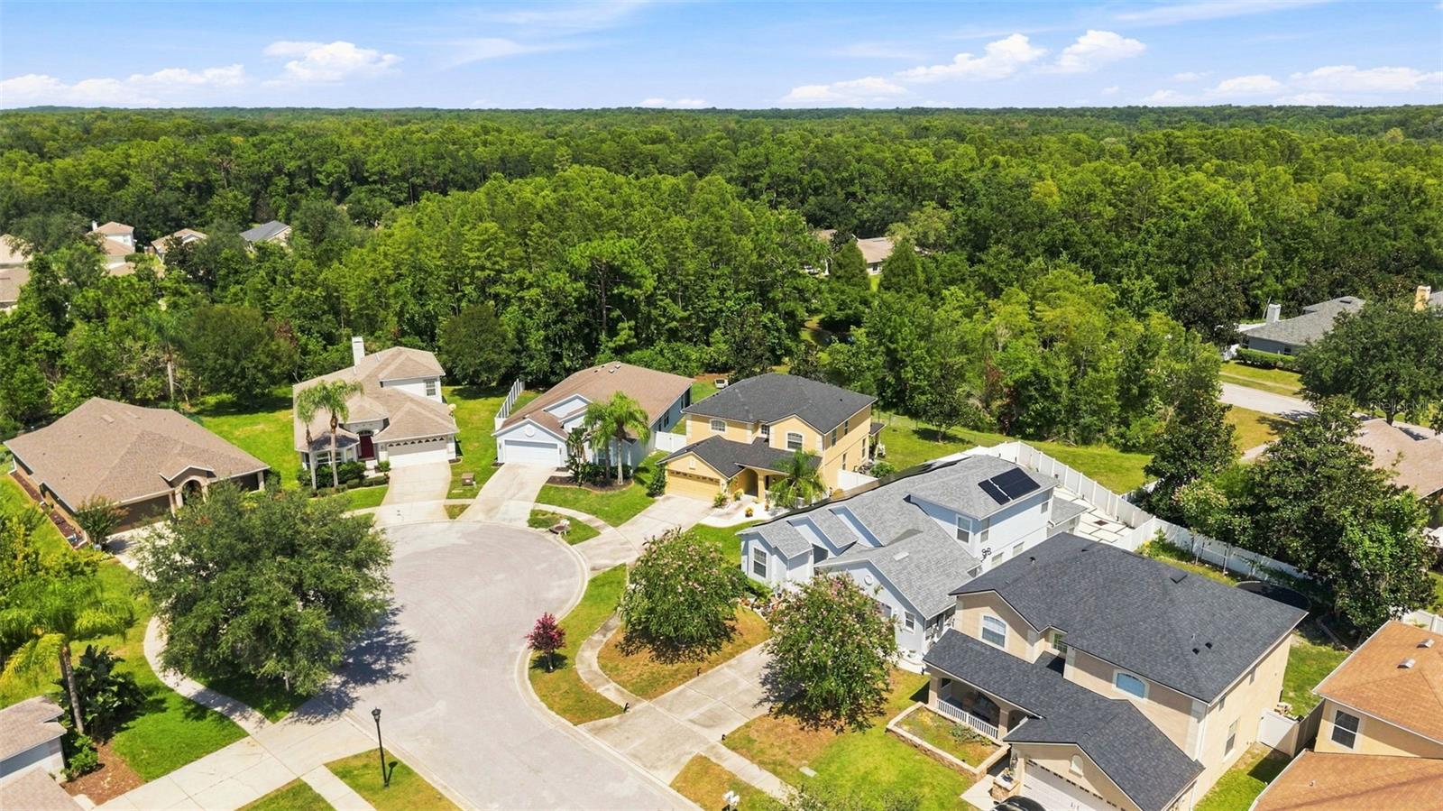 15731 Cedar Elm Ter Property Photo 29
