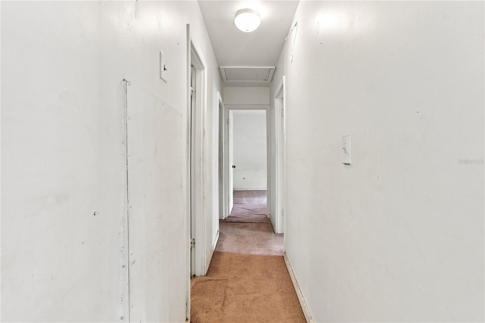 4186 Cepeda St Property Photo 17