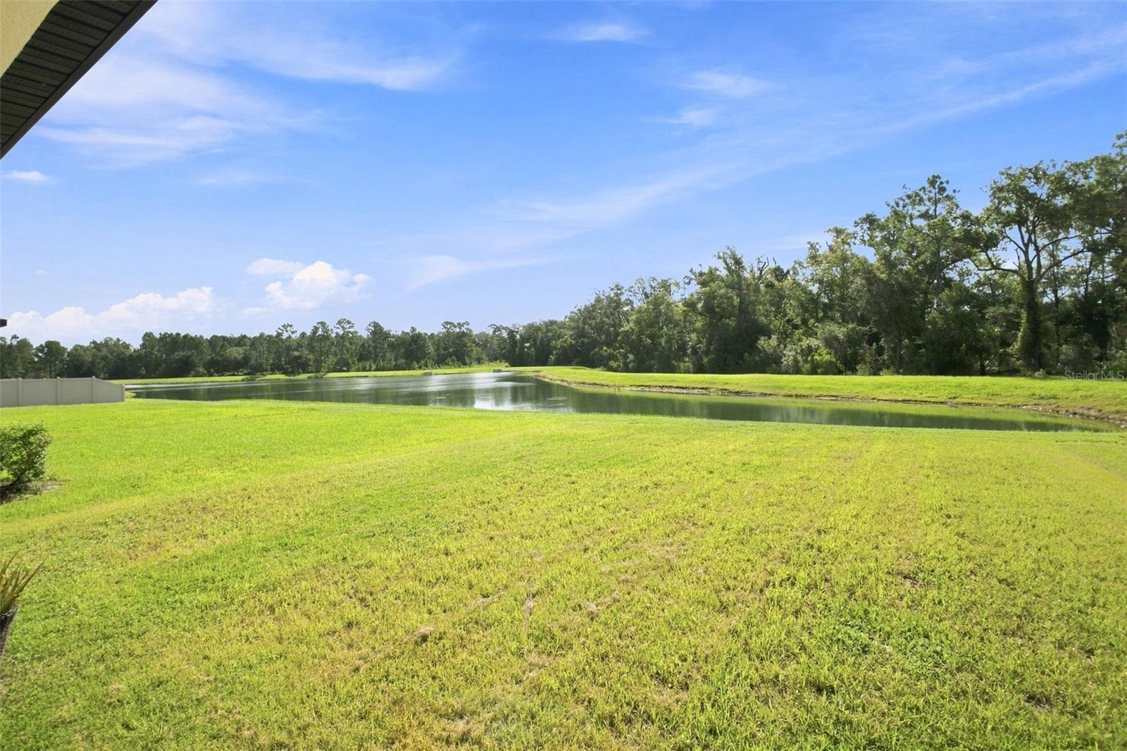 35418 Ackley Trce Property Photo 12