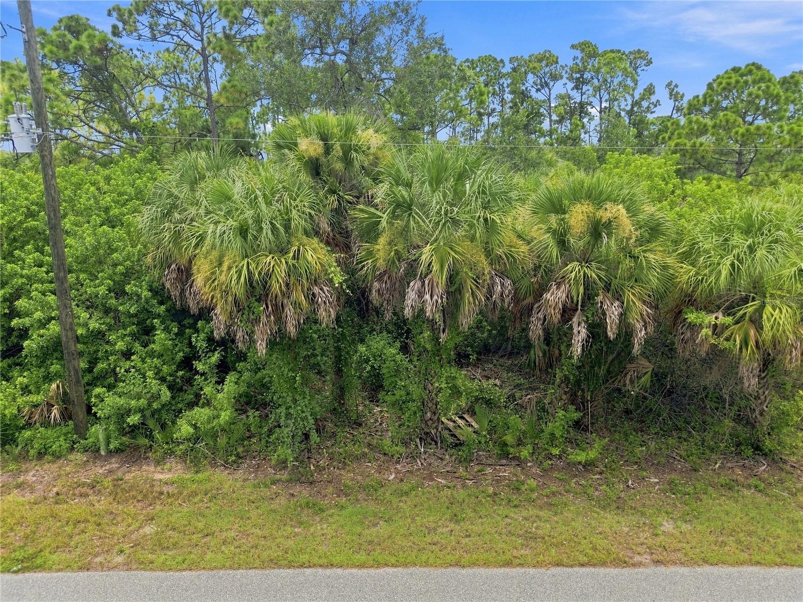 487 Kindred Blvd Property Photo 21