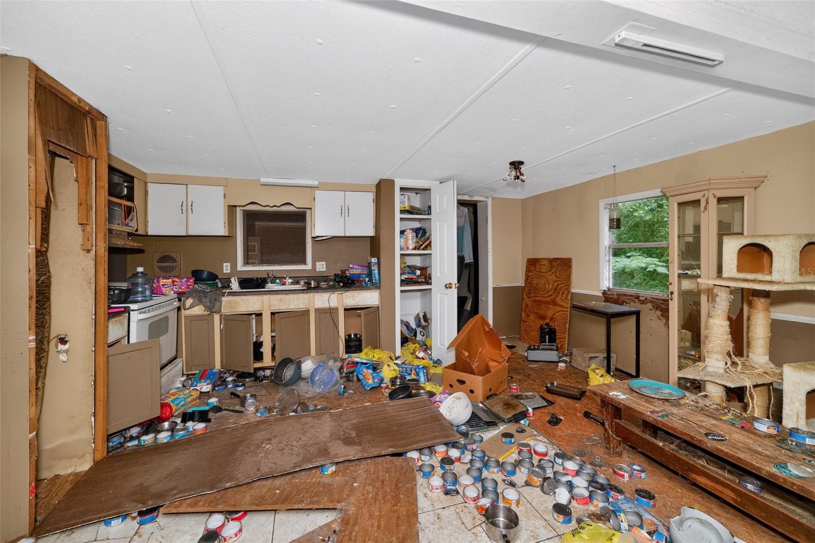 119 Chambliss Rd Property Photo 5