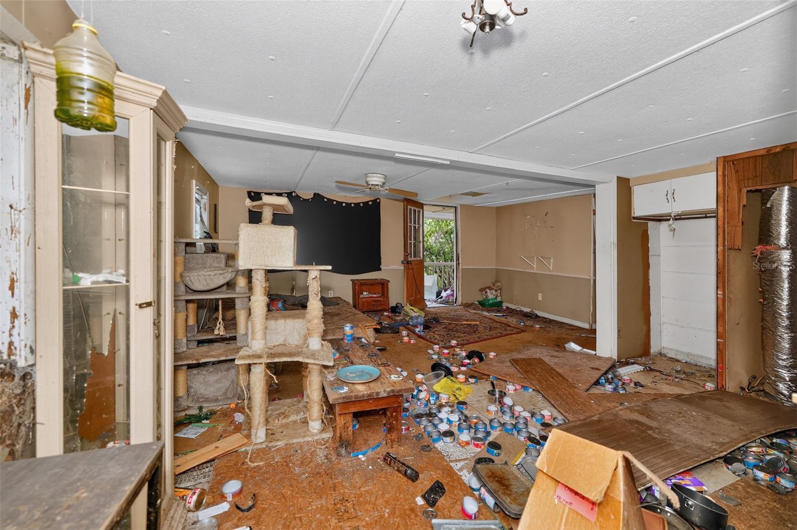 119 Chambliss Rd Property Photo 8