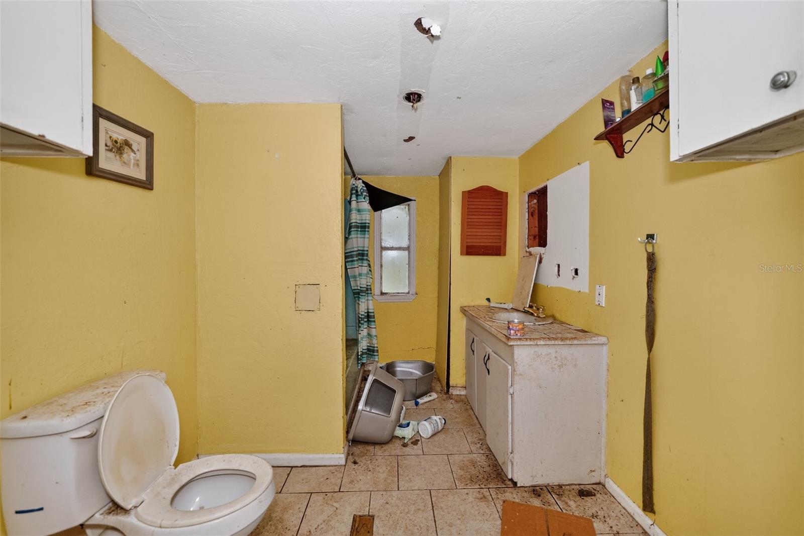 119 Chambliss Rd Property Photo 15