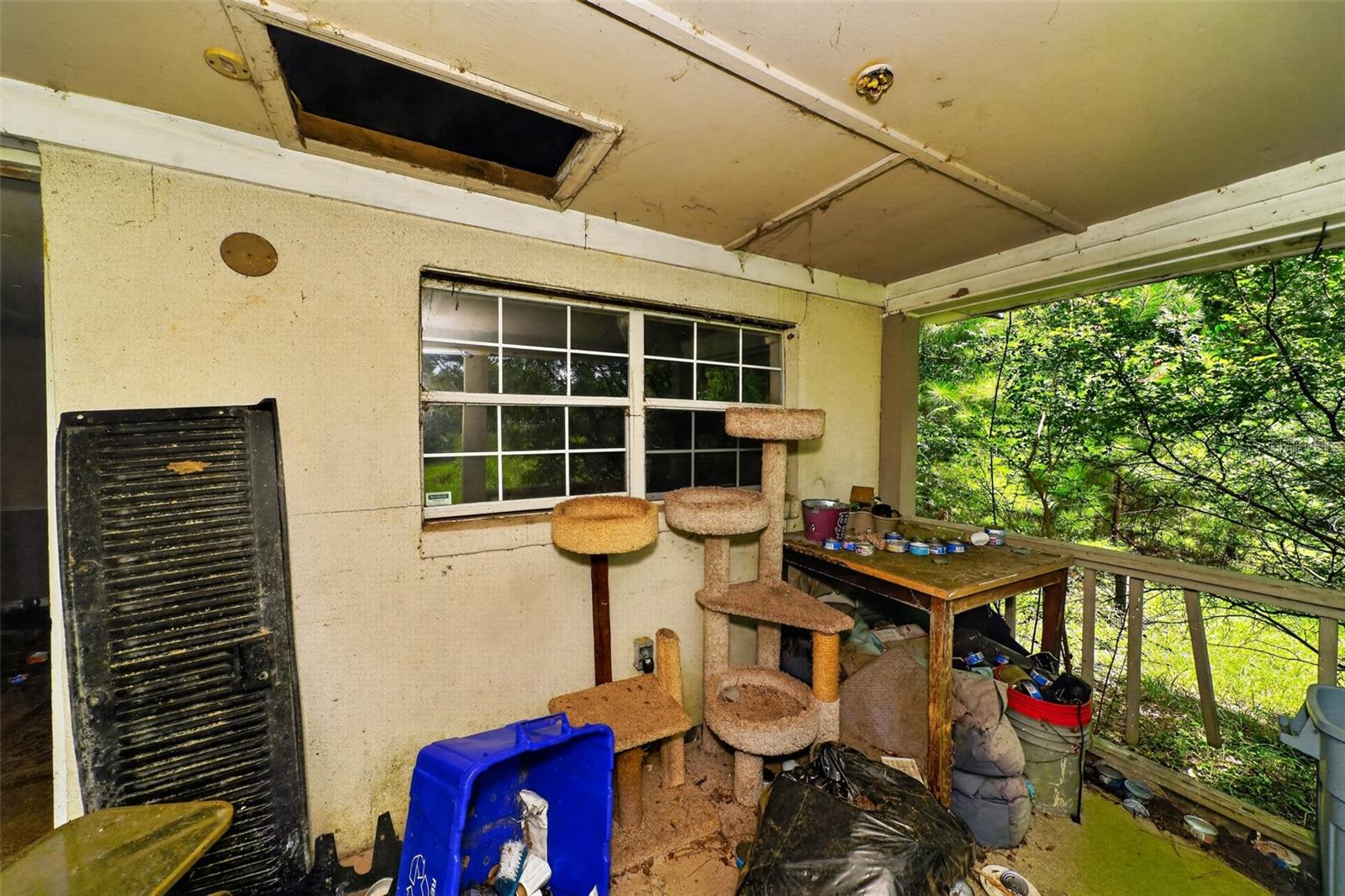 119 Chambliss Rd Property Photo 20