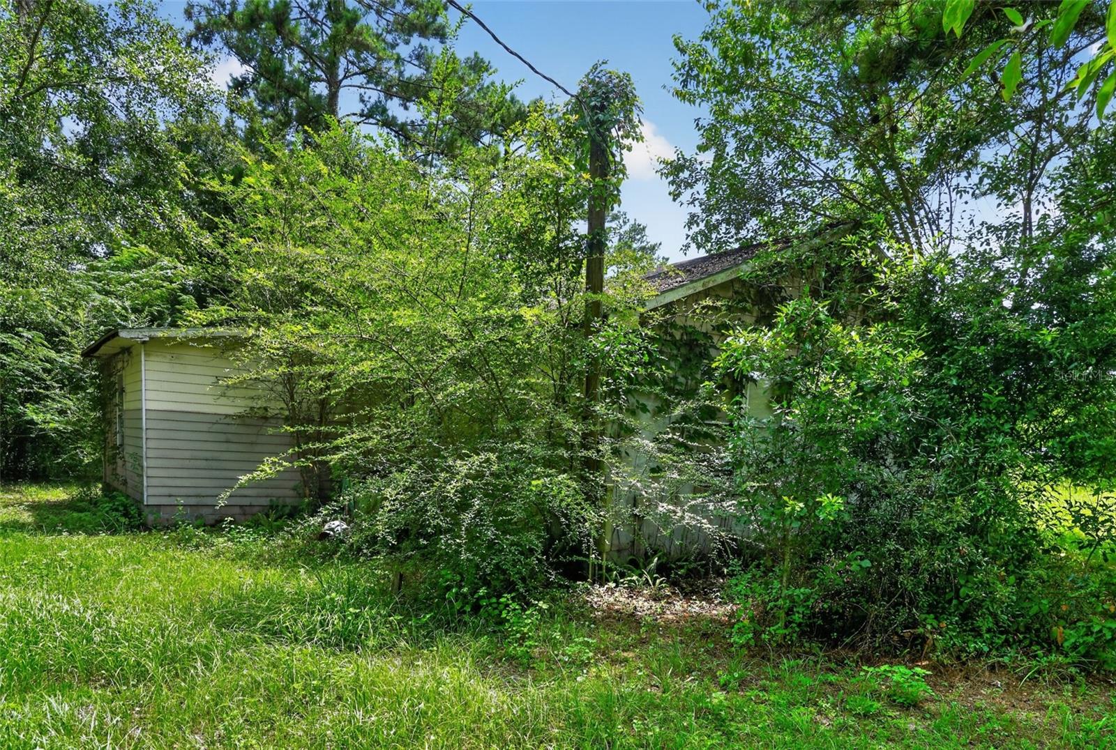 119 Chambliss Rd Property Photo 24