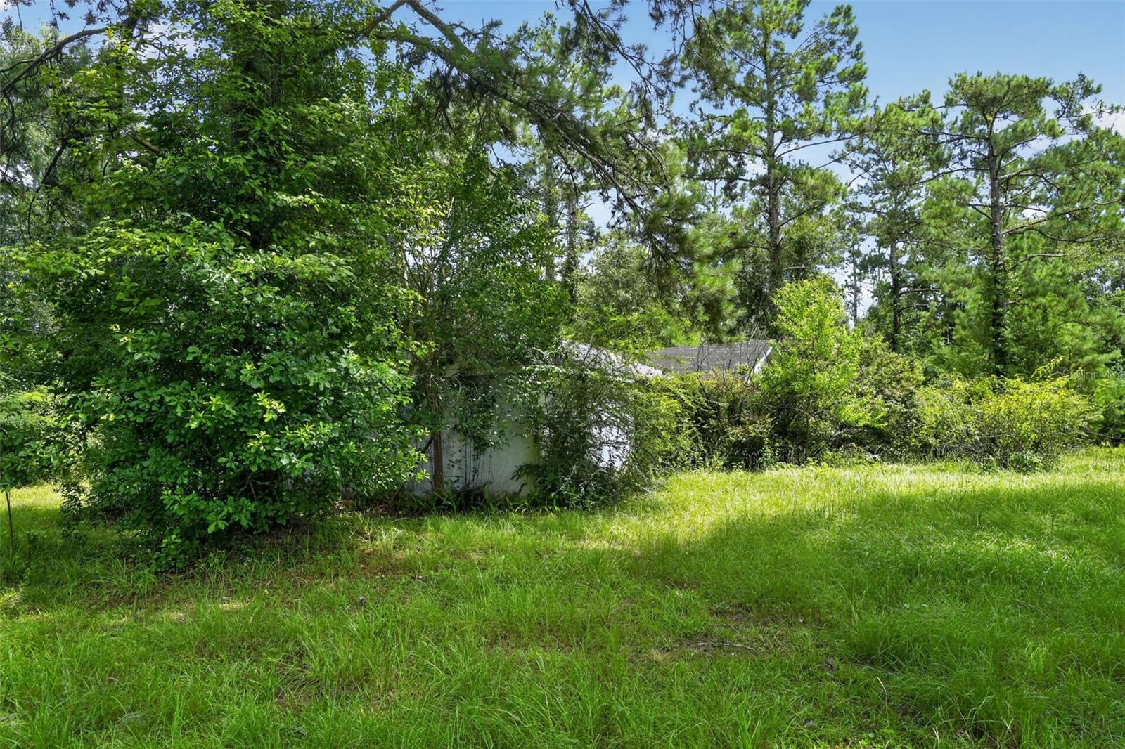 119 Chambliss Rd Property Photo 25