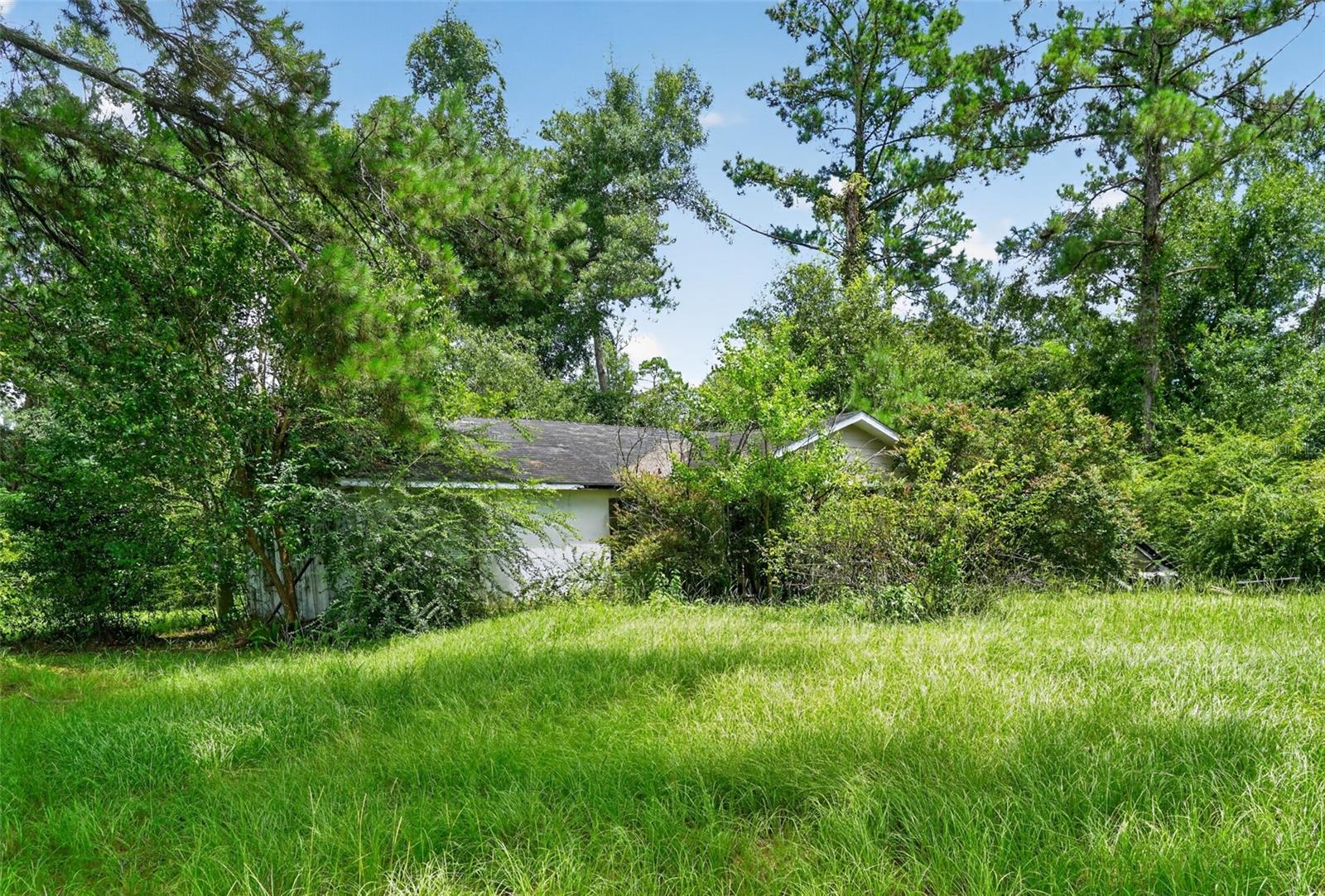 119 Chambliss Rd Property Photo 28