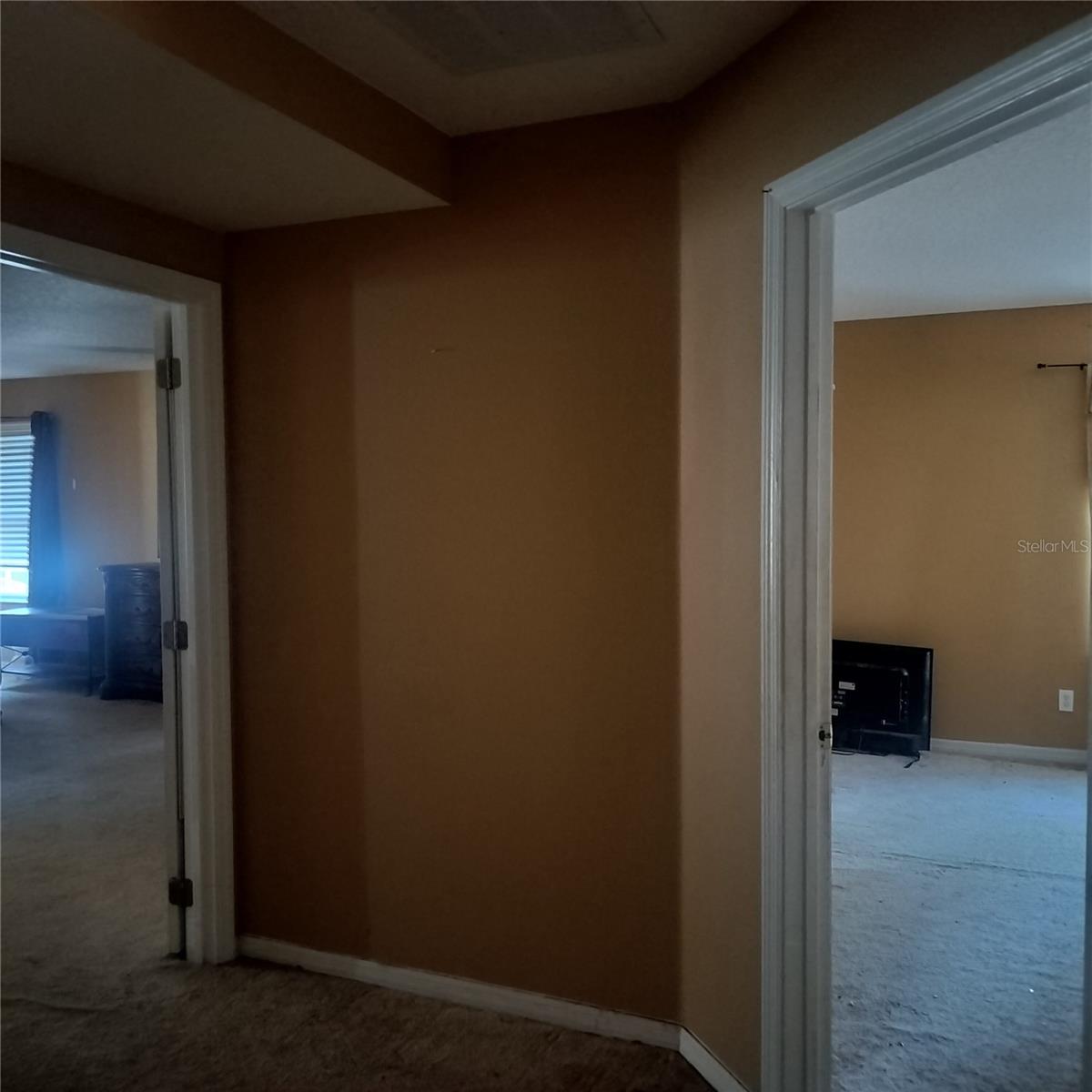 529 Aldridge Ln Property Photo 14
