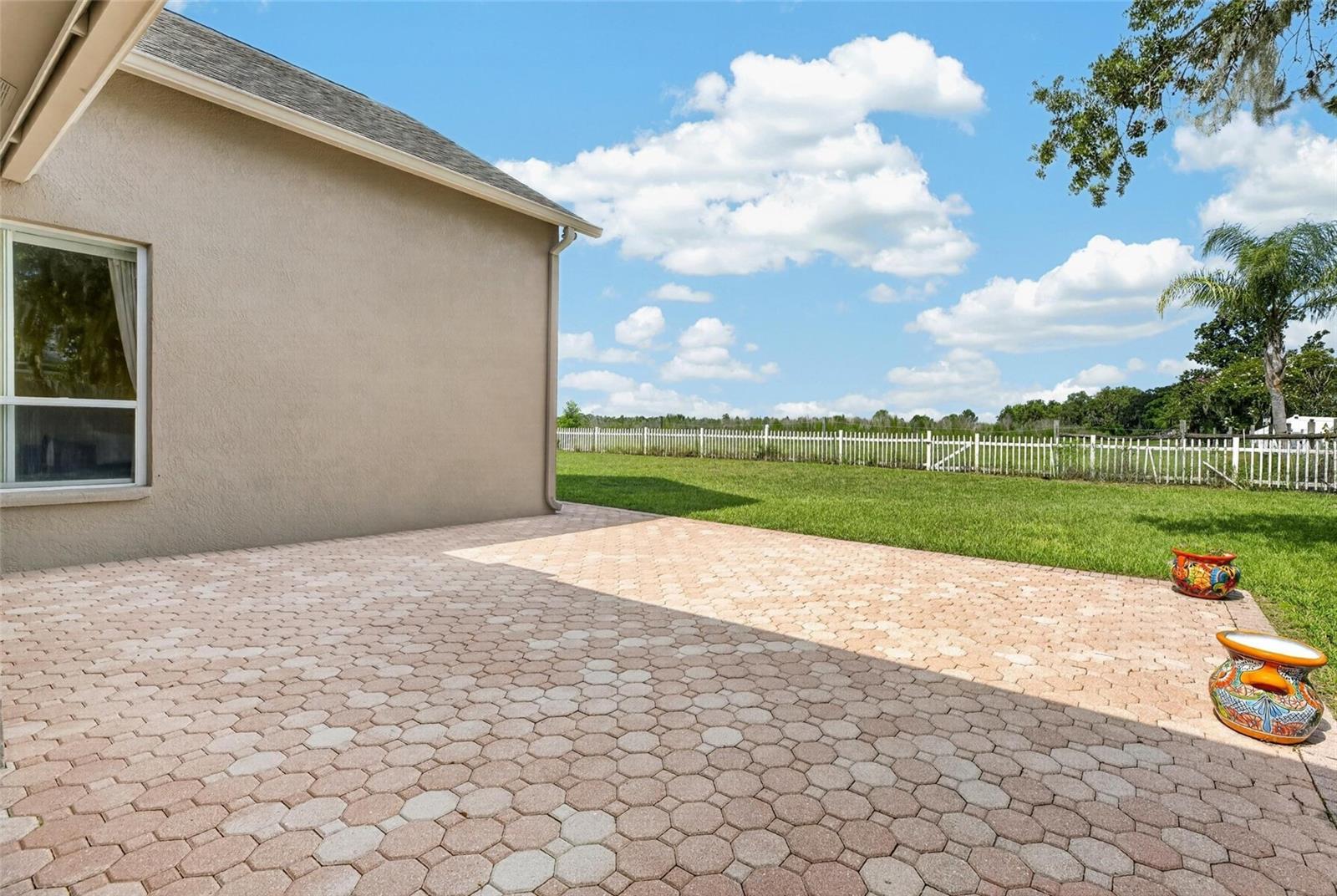 10303 Tarragon Dr Property Photo 3