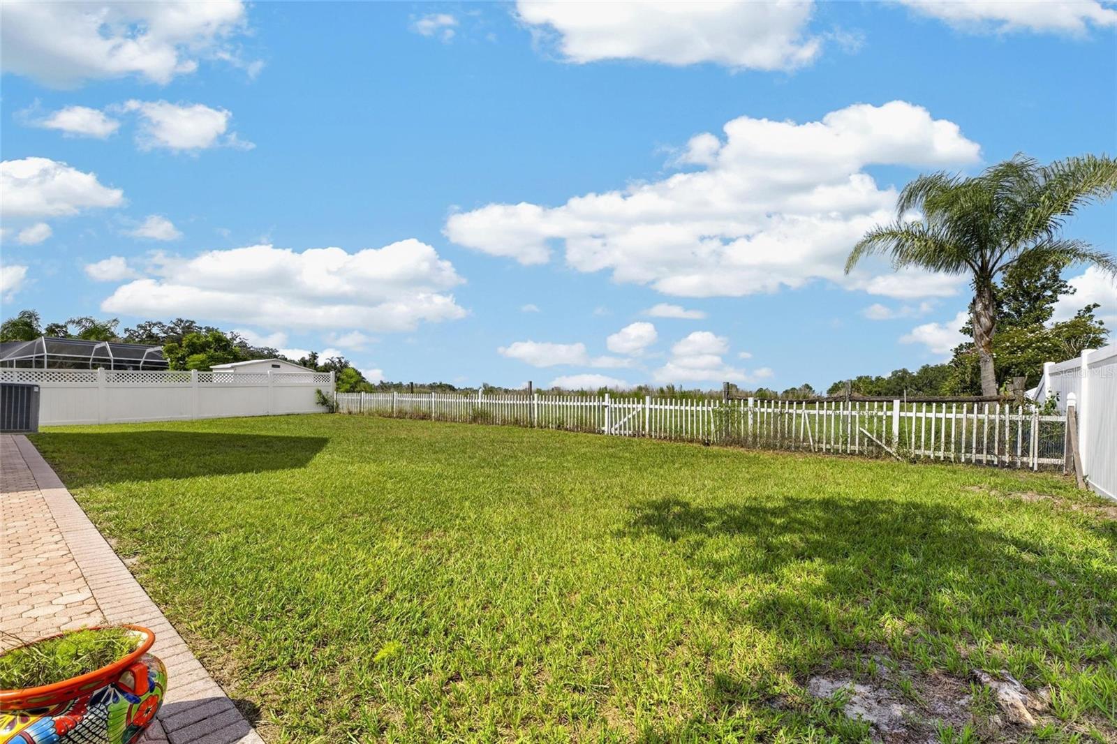 10303 Tarragon Dr Property Photo 4
