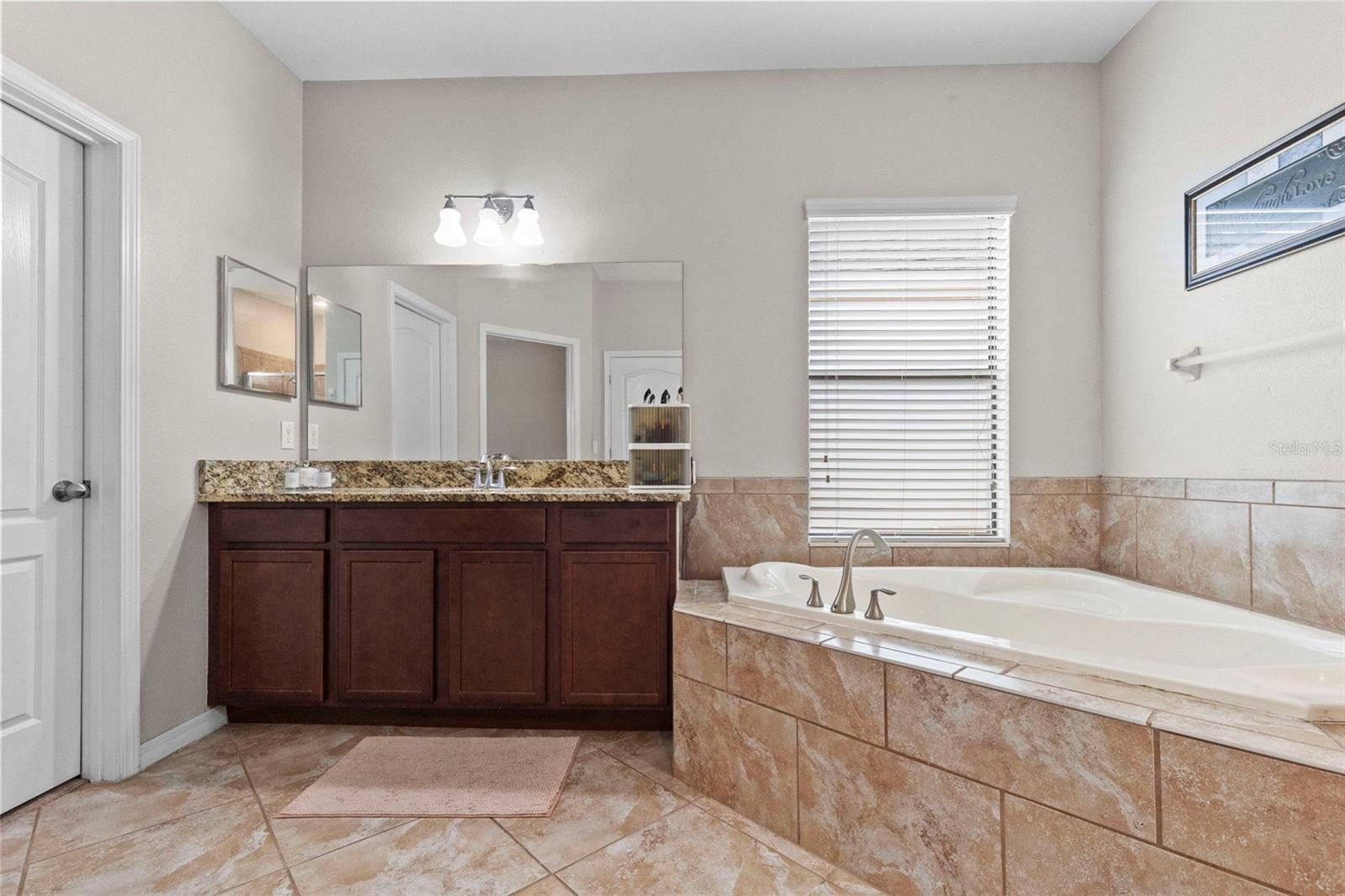 14242 Blue Dasher Dr Property Photo 20