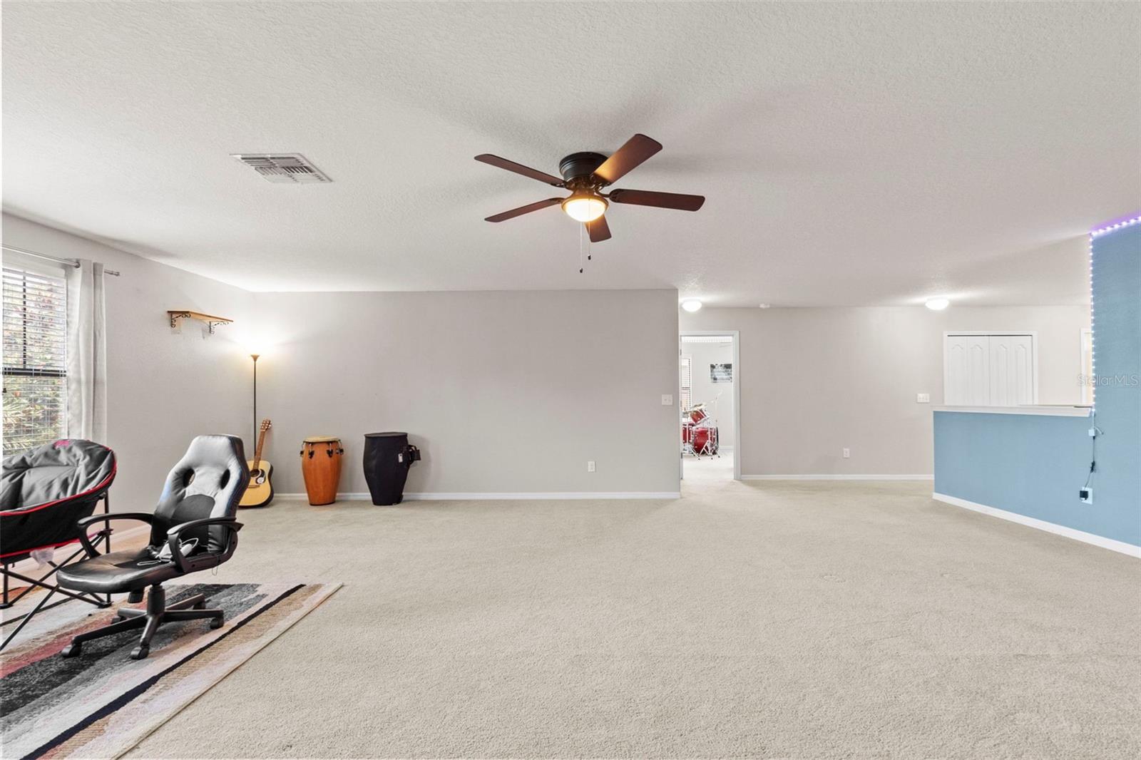 14242 Blue Dasher Dr Property Photo 29