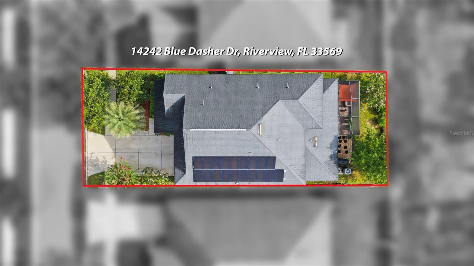 14242 Blue Dasher Dr Property Photo 48