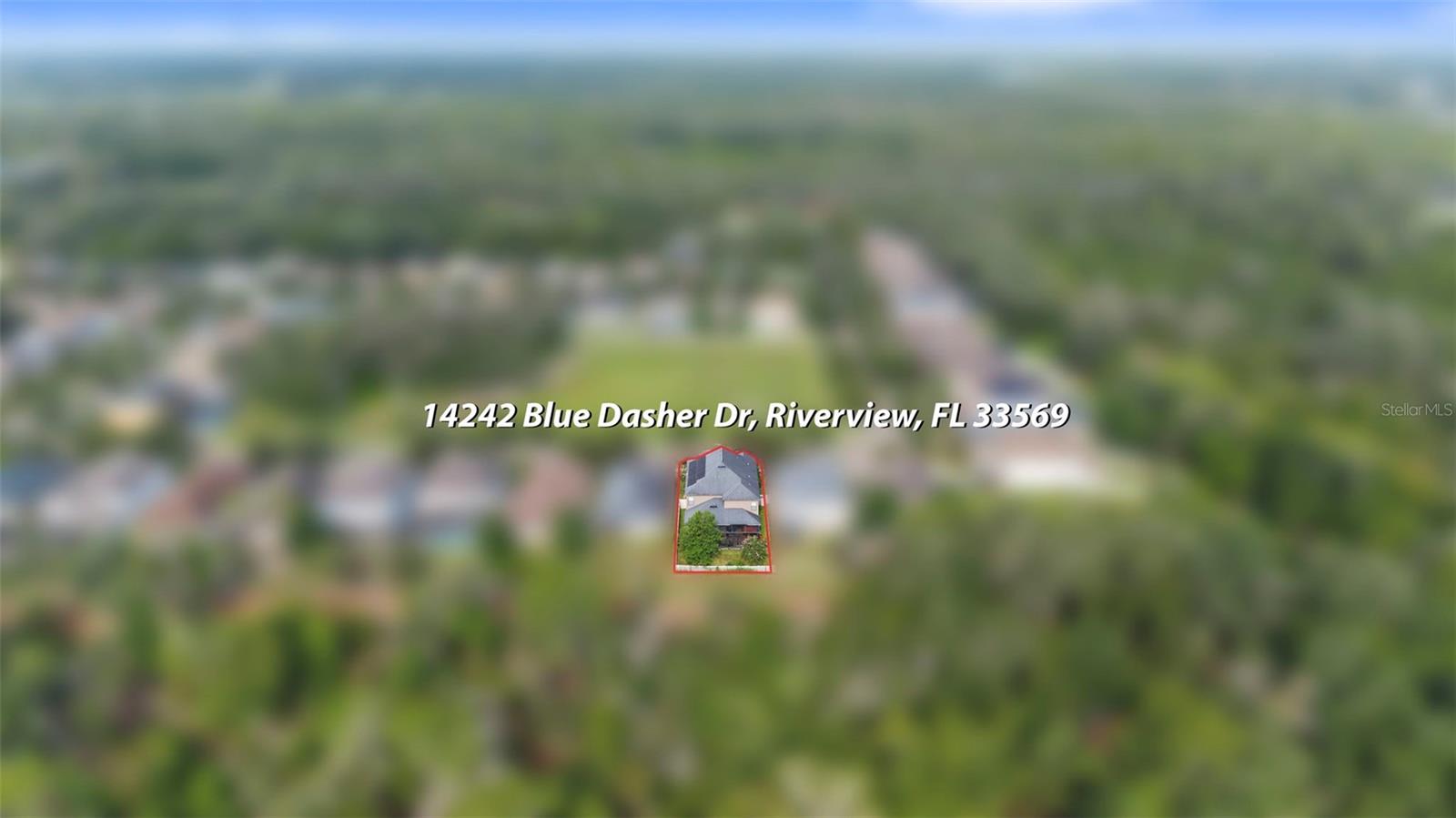 14242 Blue Dasher Dr Property Photo 50
