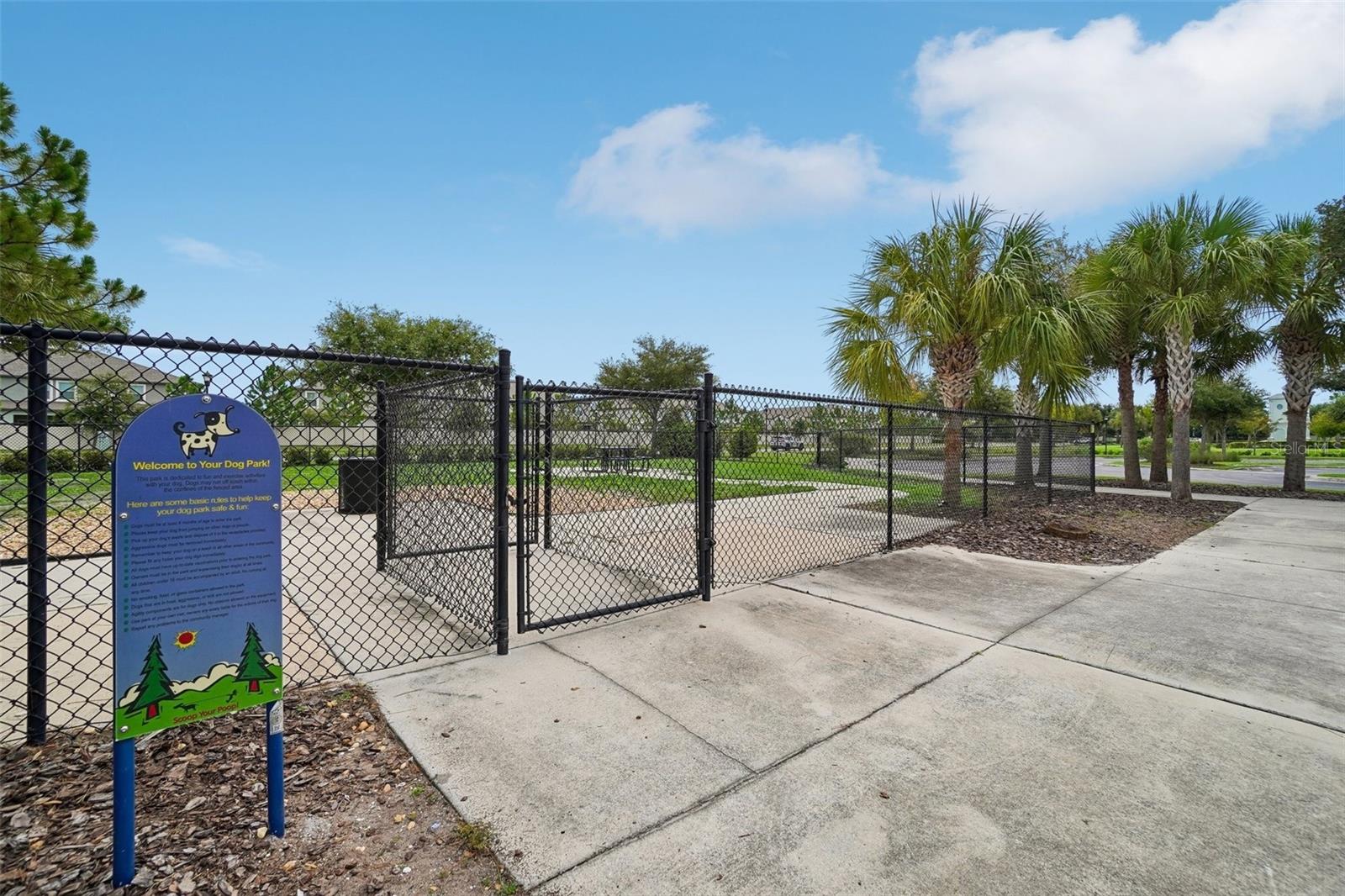 9663 Channing Hill Dr Property Photo 25