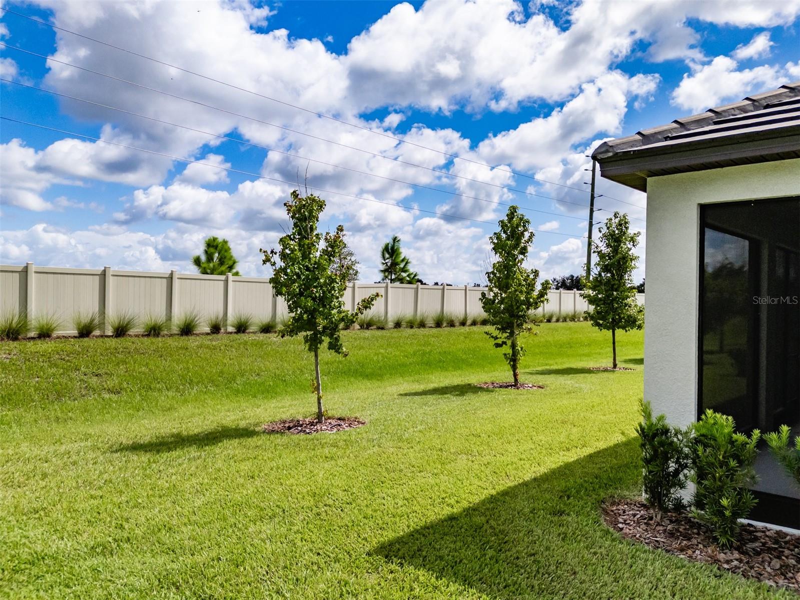 12720 Tahitian Pearl Property Photo 47