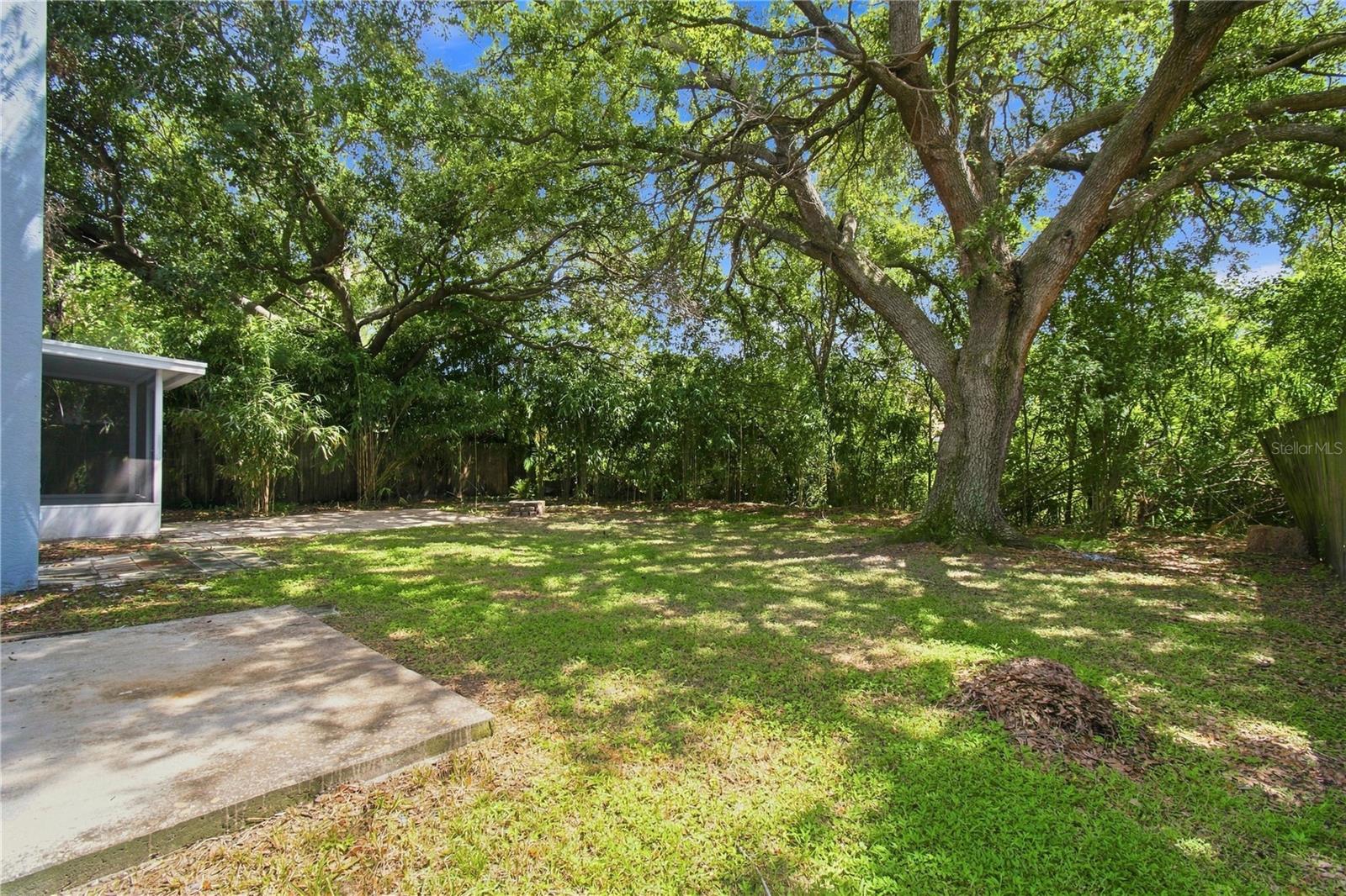 13417 Beechberry Dr Property Photo 38