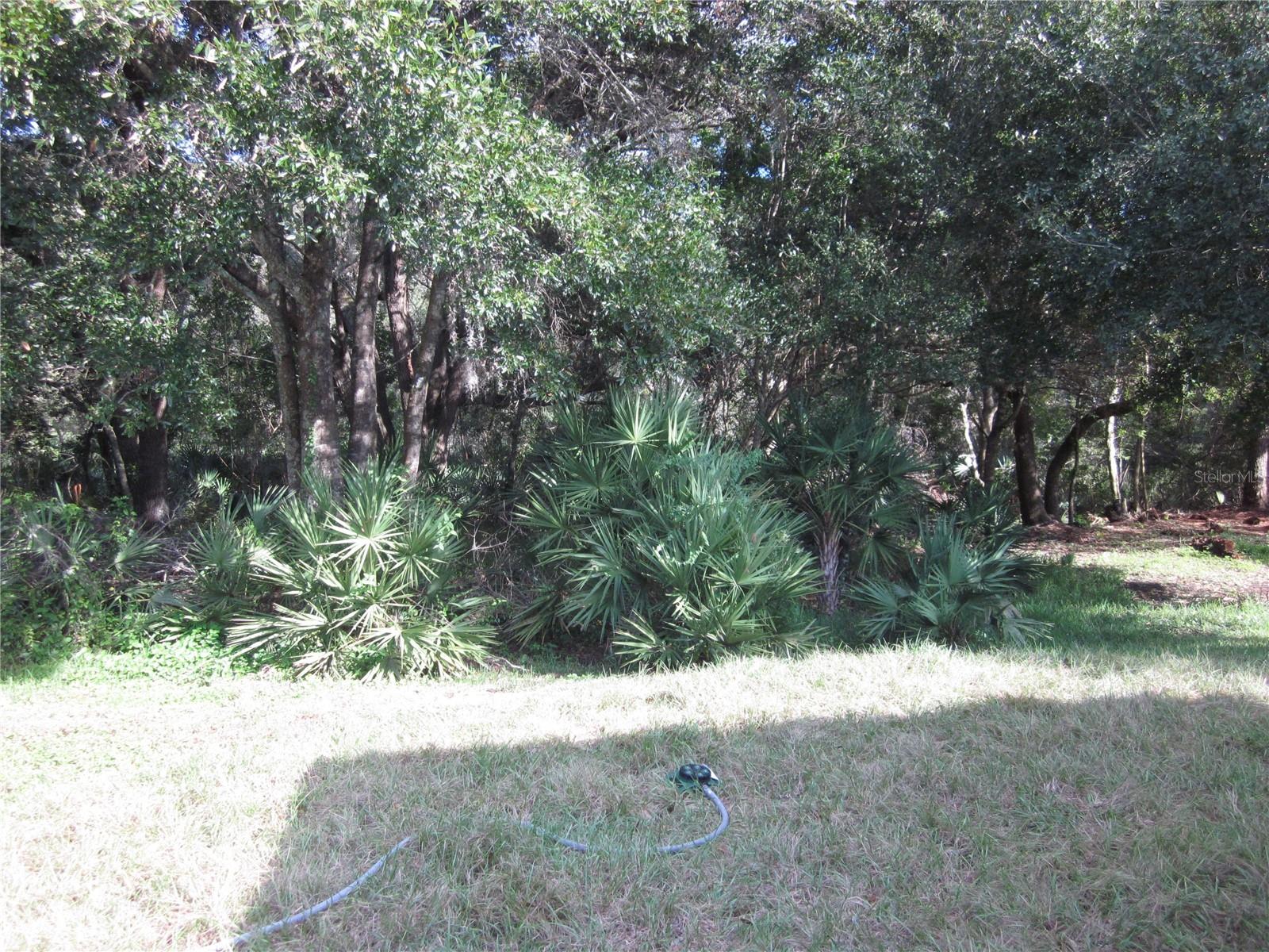 354 Tavernier Dr Property Photo 14