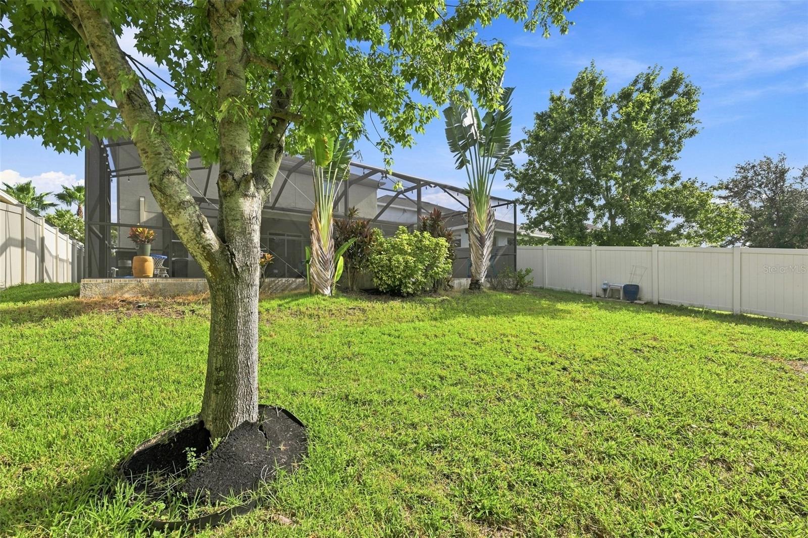 11156 Spring Point Cir Property Photo 38