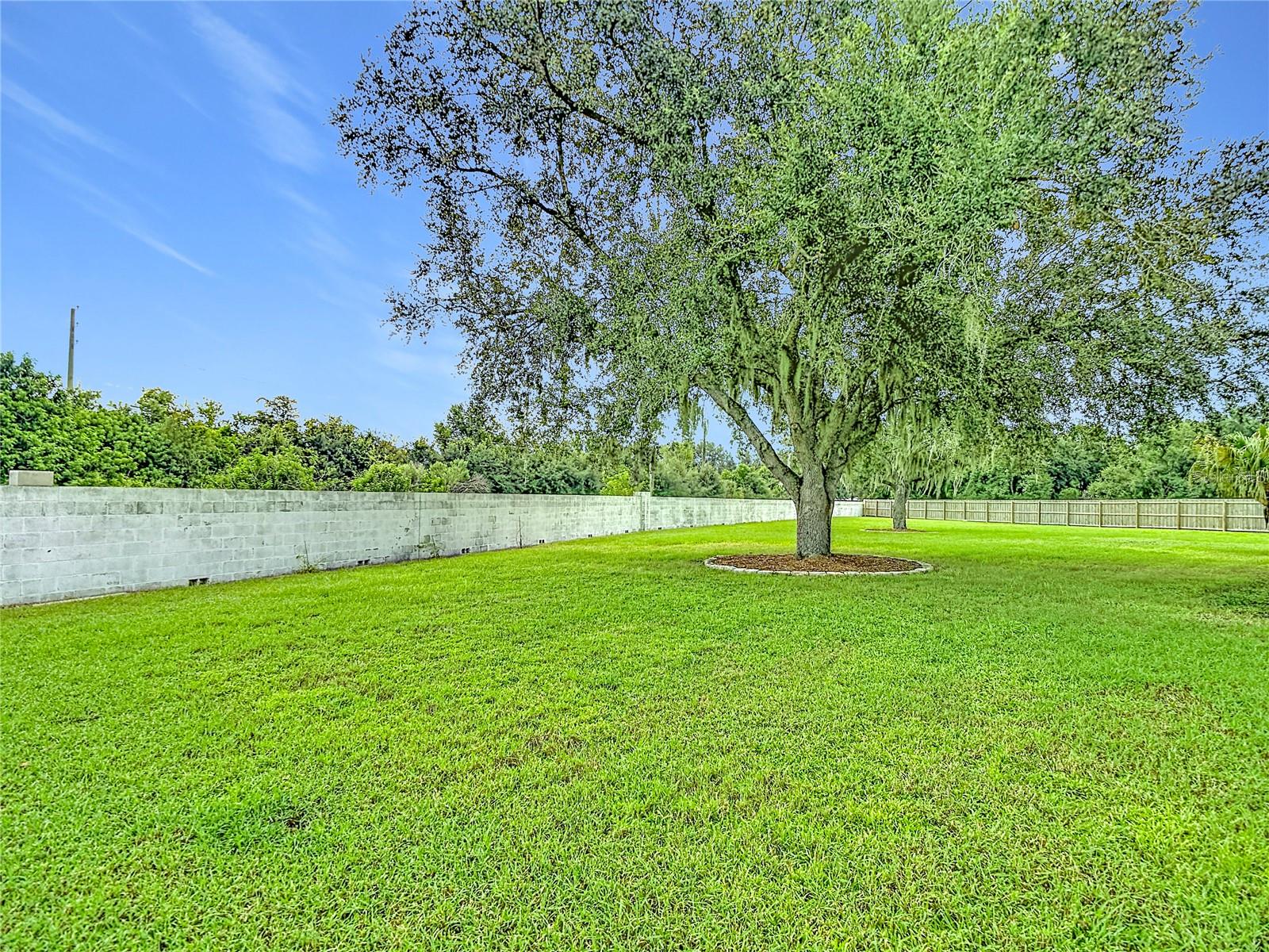 1639 Ledgestone Dr Property Photo 83
