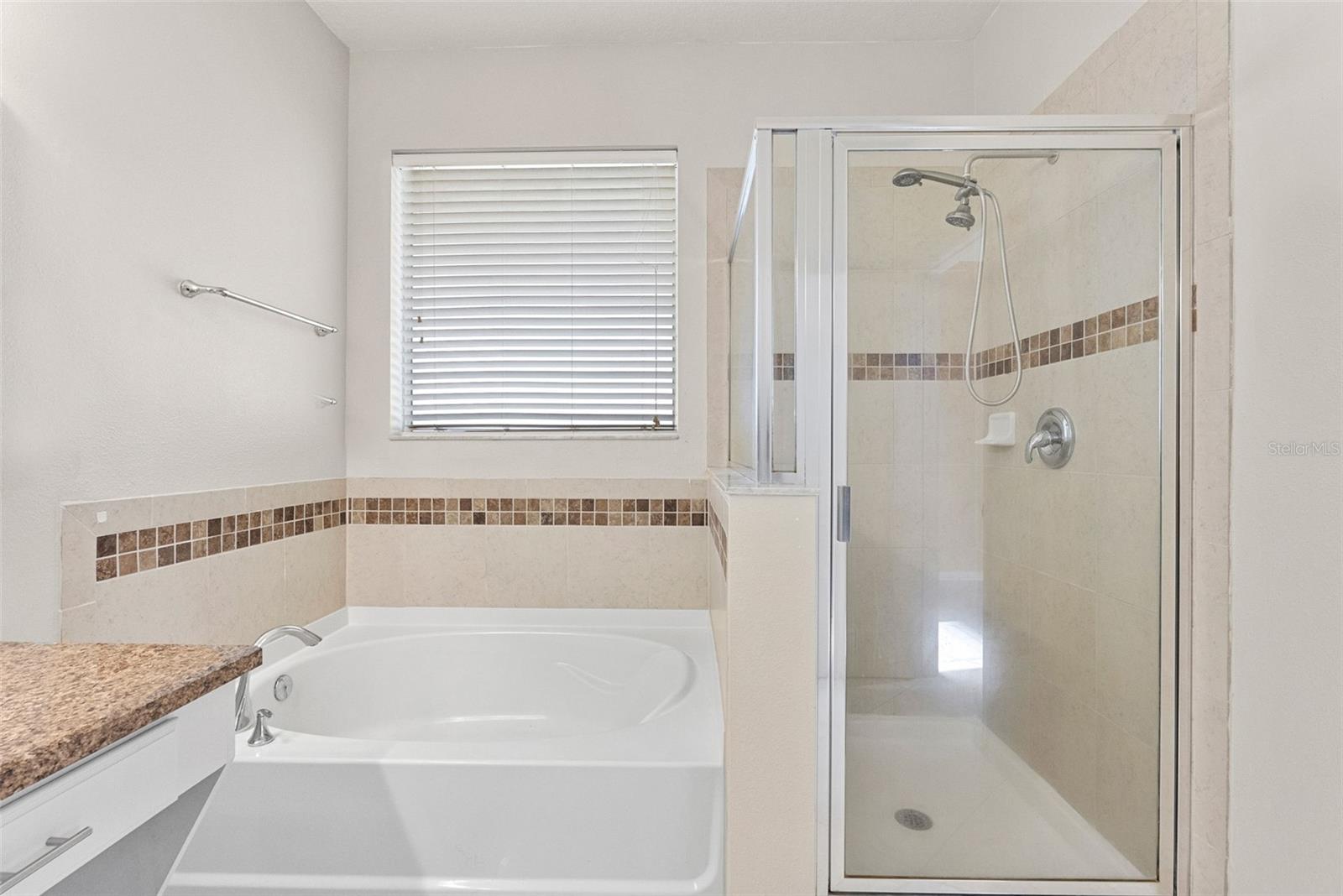 11114 Hartford Fern Dr Property Photo 19