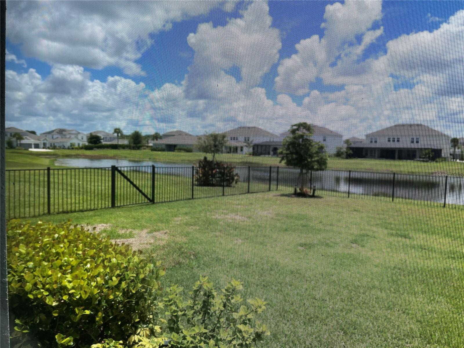16545 Star Grass Cir Property Photo 6