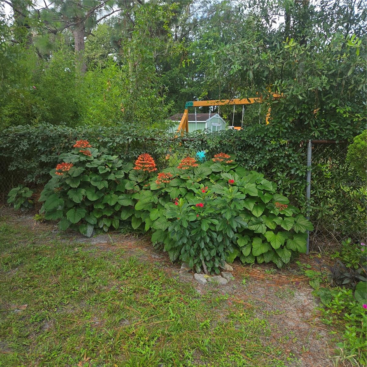 9511 Clyde St Property Photo 36