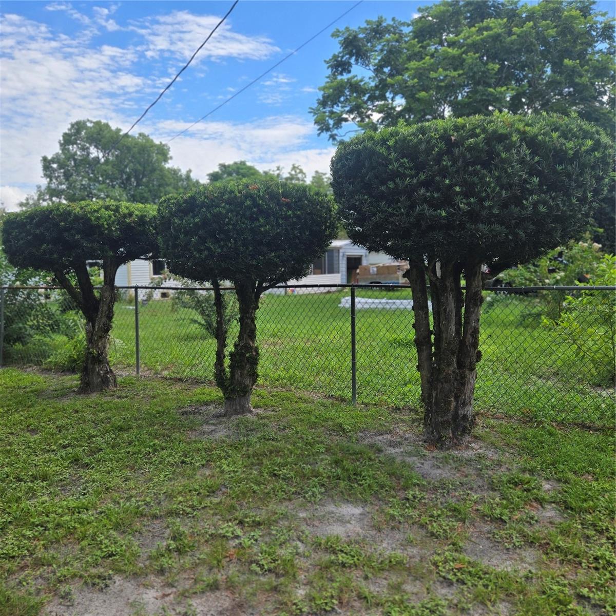 9511 Clyde St Property Photo 37