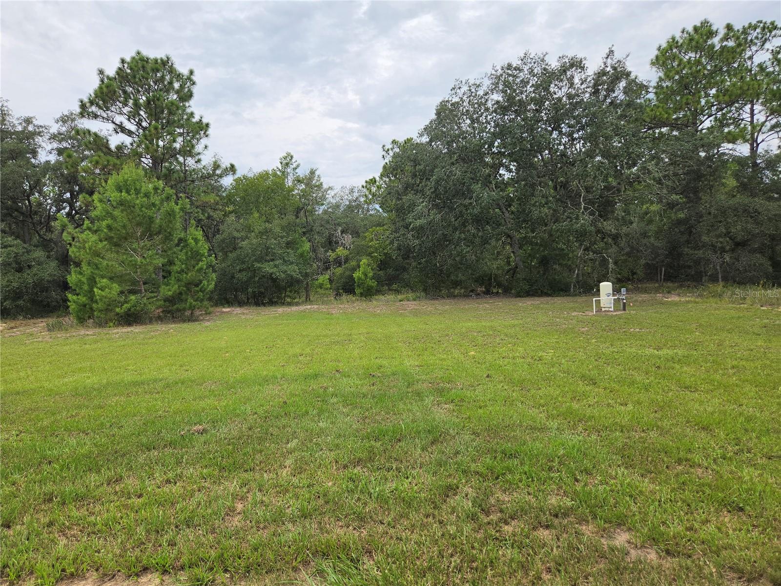 353 Fisher Way Property Photo 14