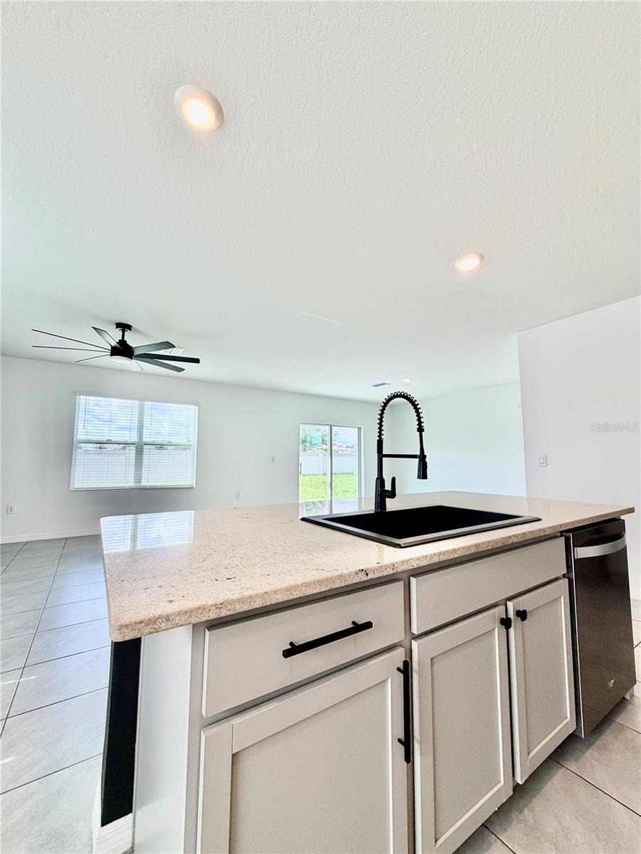 34110 Jasper Stone Dr Property Photo 4