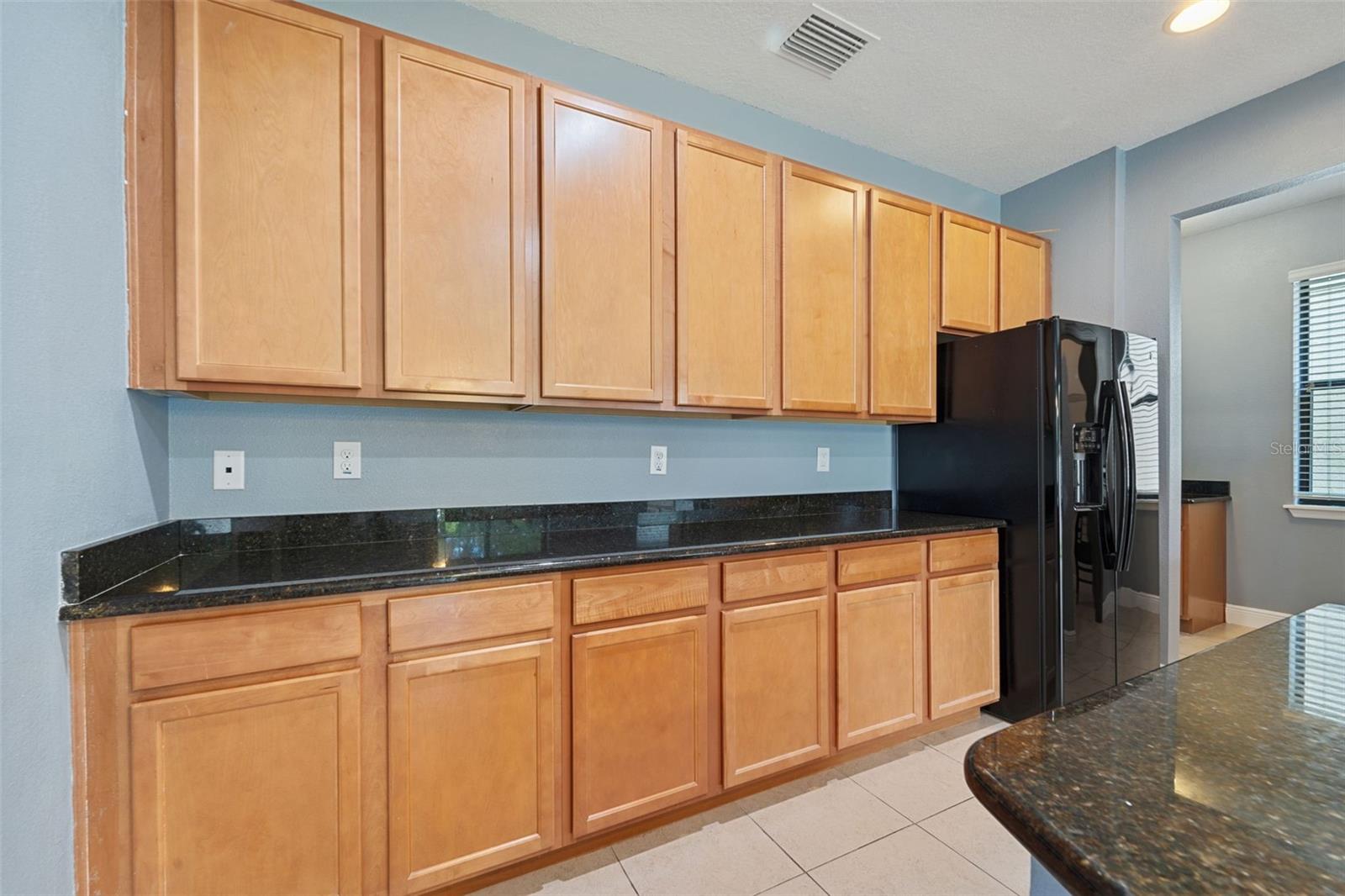 11006 Tahiti Isle Ln Property Photo 12