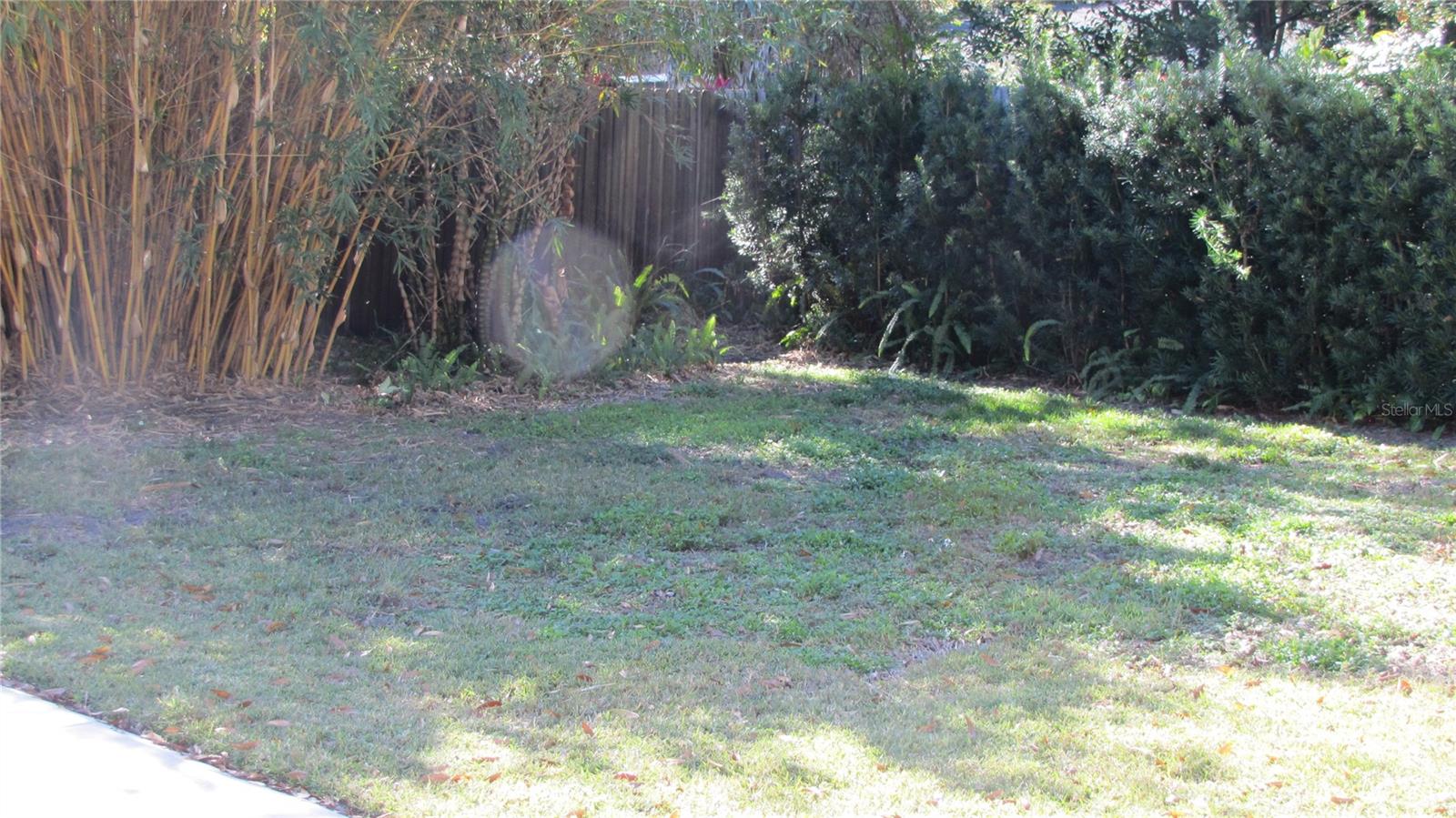 3326 Schefflera Rd Property Photo 19