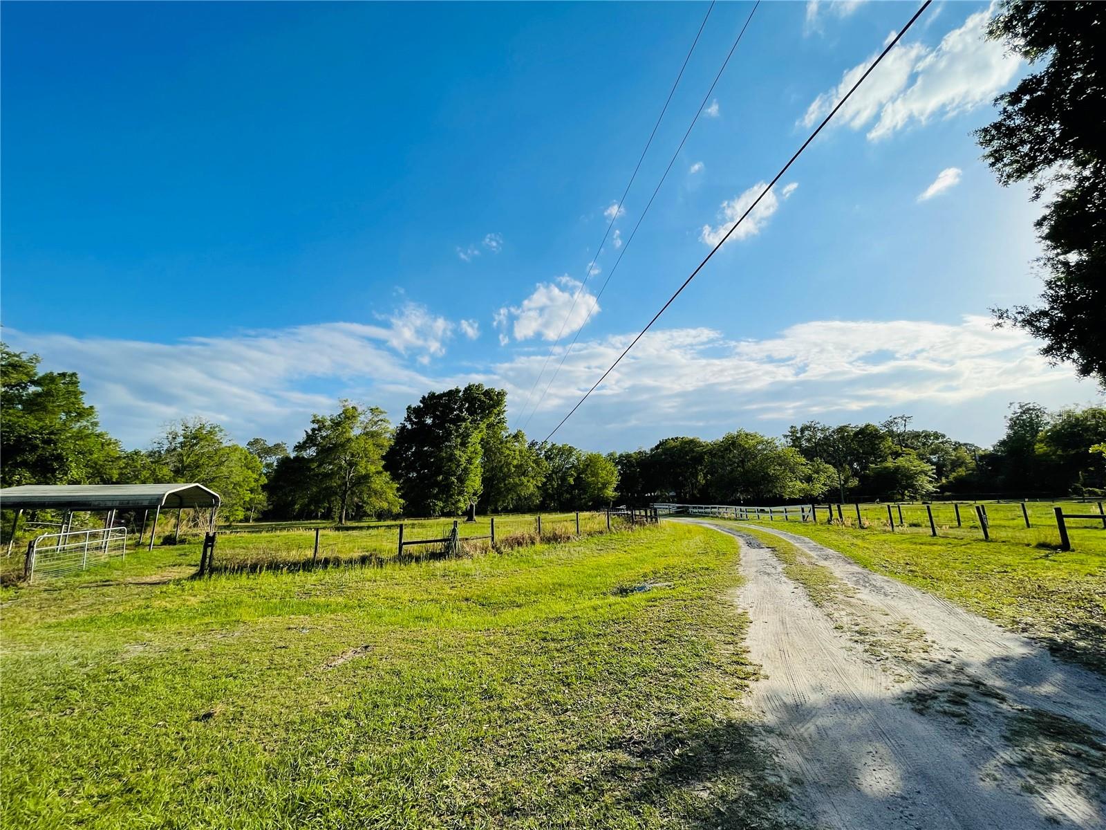 6814 Pearson Ln Property Photo 17
