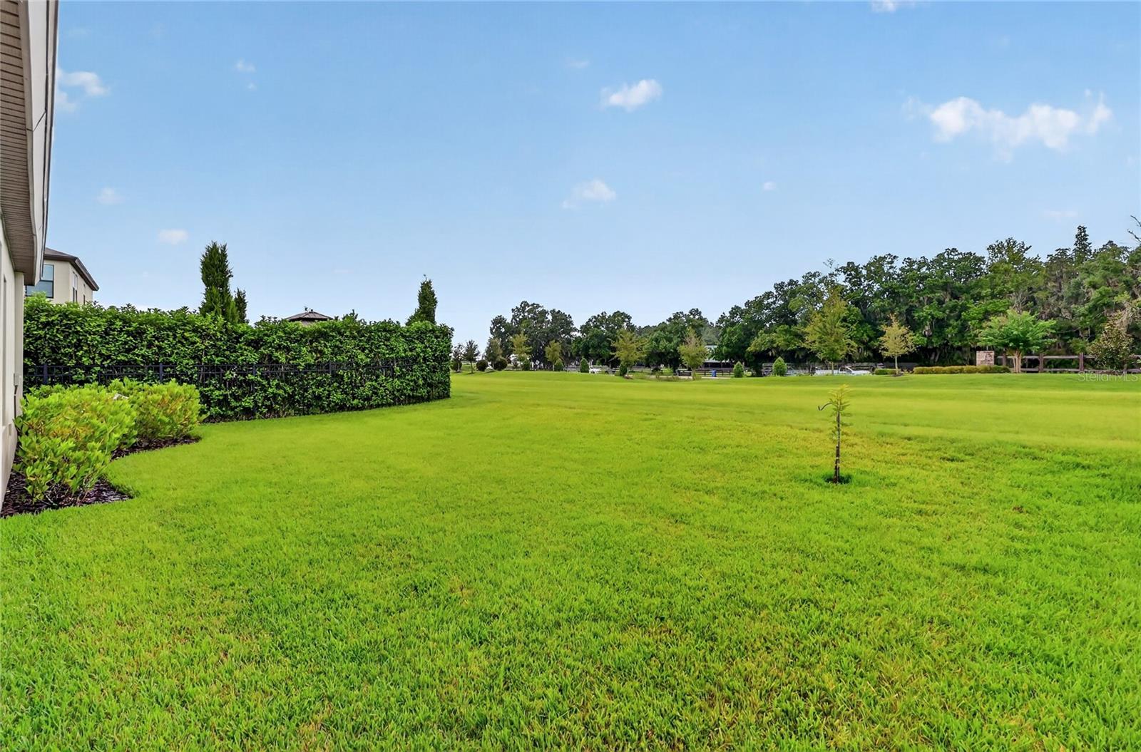 12635 Shetland Walk Dr Property Photo 52