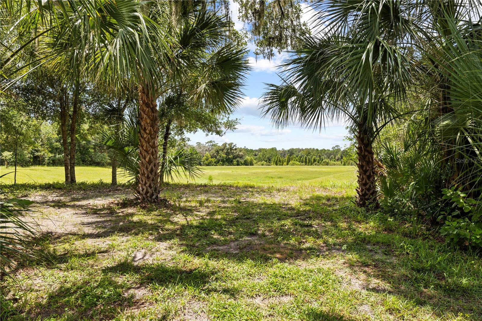 15431 Starling Crossing Dr Property Photo 71