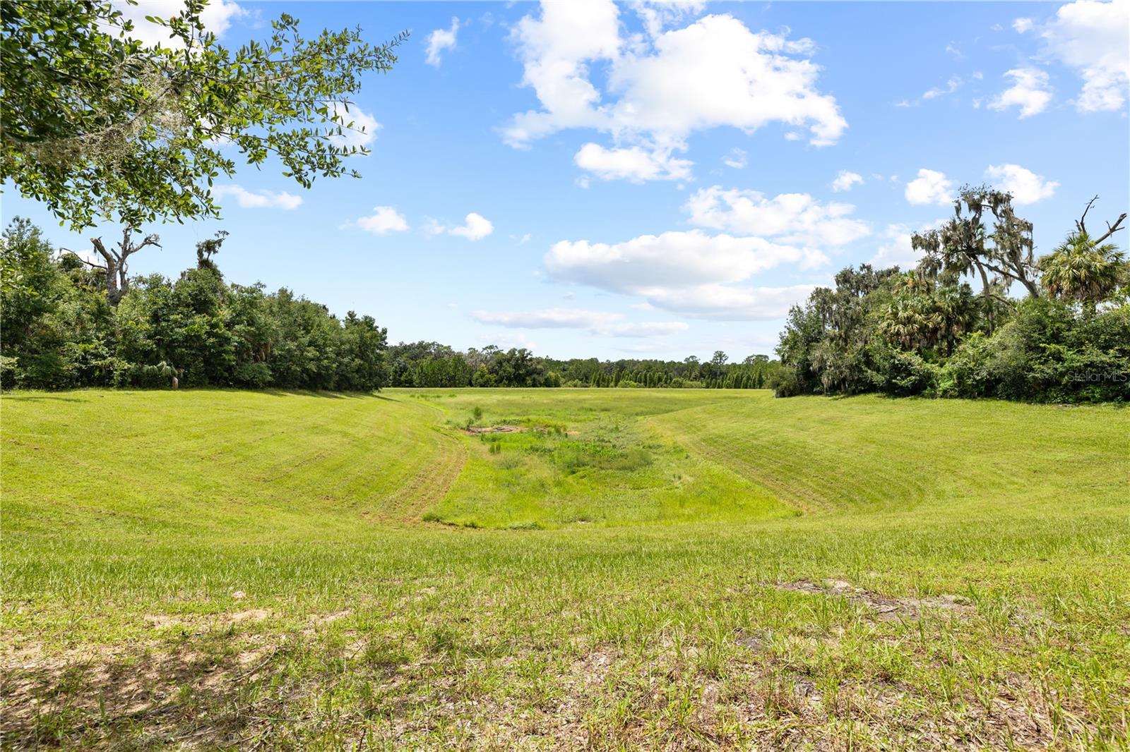 15431 Starling Crossing Dr Property Photo 74